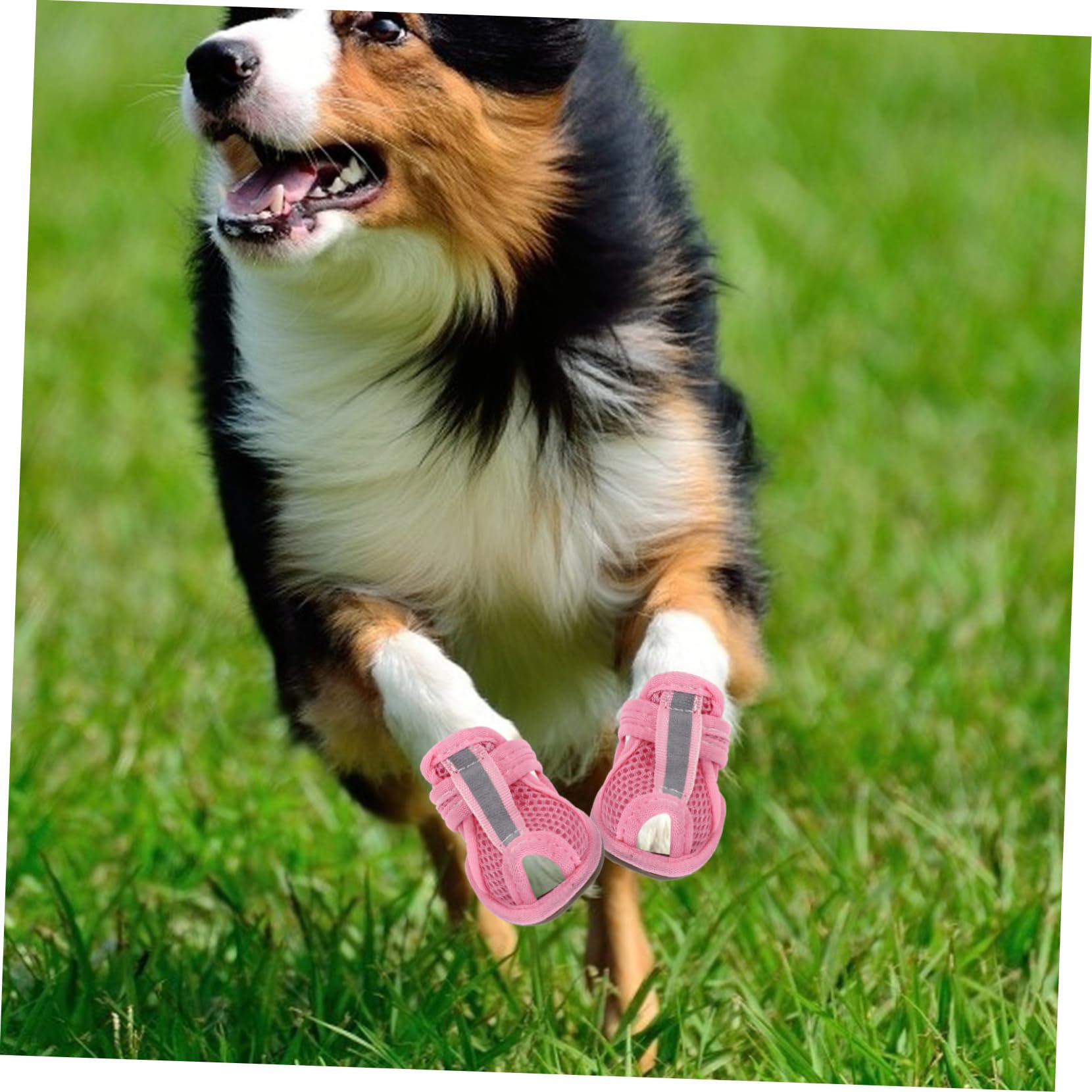Amazon.co.jp: BESPORTBLE 4個夏用通気性ペット用犬靴 メッシュ