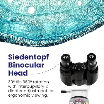 AmScope - 40X-2500X LED Digital Binocular Compound Microscope with 3D Stage + 5MP USB Camera