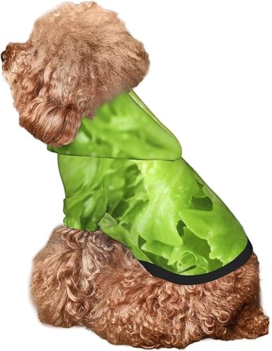 Miniatura 9 de Sudadera con capucha para perro con estampado de lechuga verde, ropa para mascotas, disfraces, sudadera de invierno para perros pequeños, gatos,
