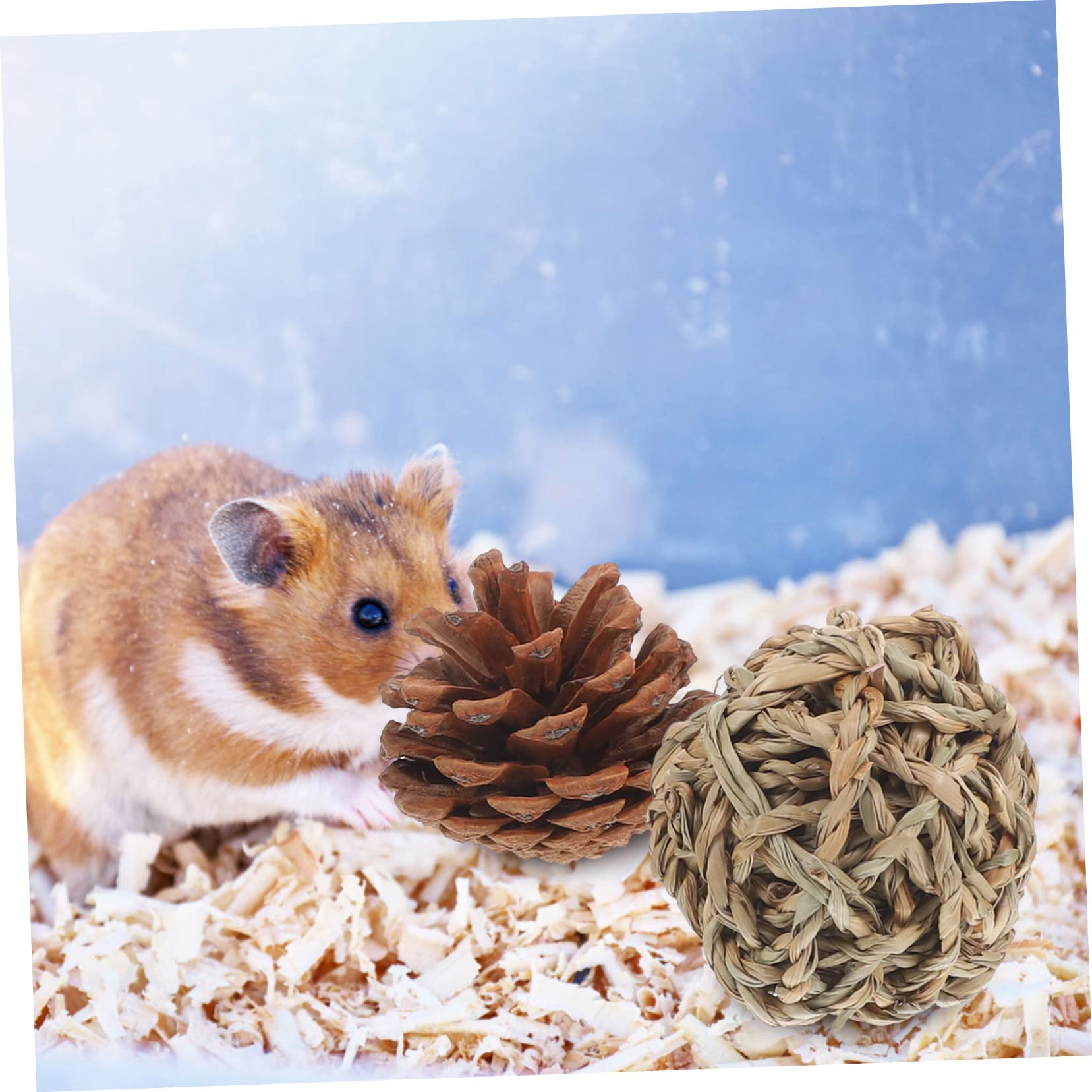 Mipcase 15stücke Teiliges Hamster Kauspielzeug Set Naturholz Molar Spielzeug Für Meerschweinchen Kaninchen Und Kleine Haustiere Zahnpflege Und Beschäftigung Für Gesunde Zähne Und