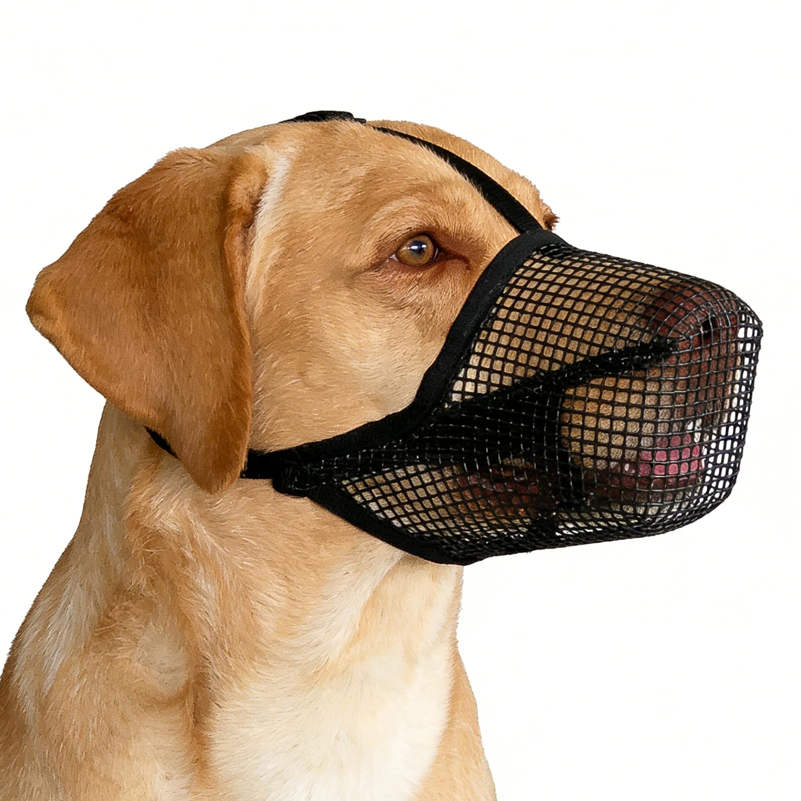 Breathable Dog Muzzle with Touch Fastener Straps, Adjustable Soft Mesh Anti-Bite Anti-Scavenging Muzzle for Small Medium Large Long-Nosed Dogs (Black, Size L)