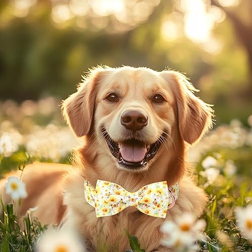 Miniatura 147 de Collar de perro con bandera estadounidense con pajarita, collar patriótico para perros pequeños, medianos y grandes, talla XS