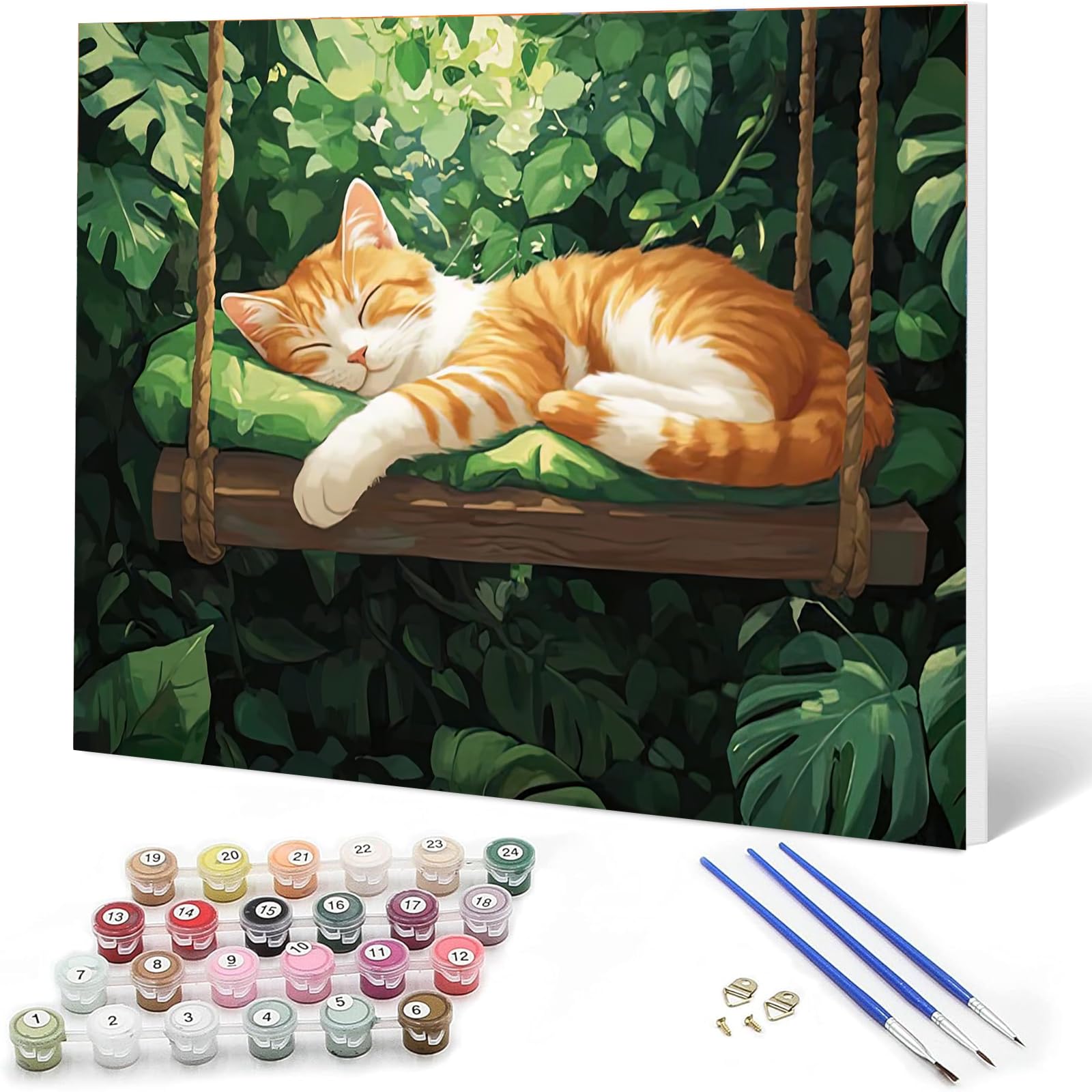 Auremi Cat Paint by Numbers Kits for Adults Children,Animal Painting Kits for Beginners On Clear Symbols Canvas with Wooden Framed, Easy DIY Acrylic Pigment Drawing 20x30cm