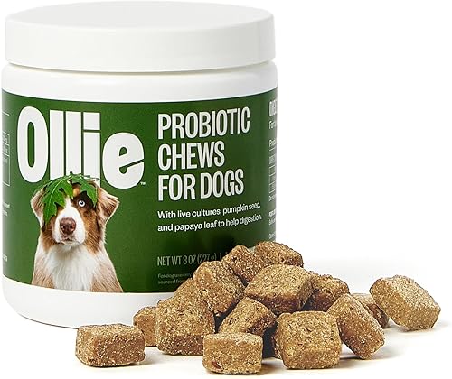 Ollie Belly Rubs Dog Probiotic Chews - Probióticos para perros - Alivio del malestar estomacal del perro - Probióticos para perros Salud digestiva -