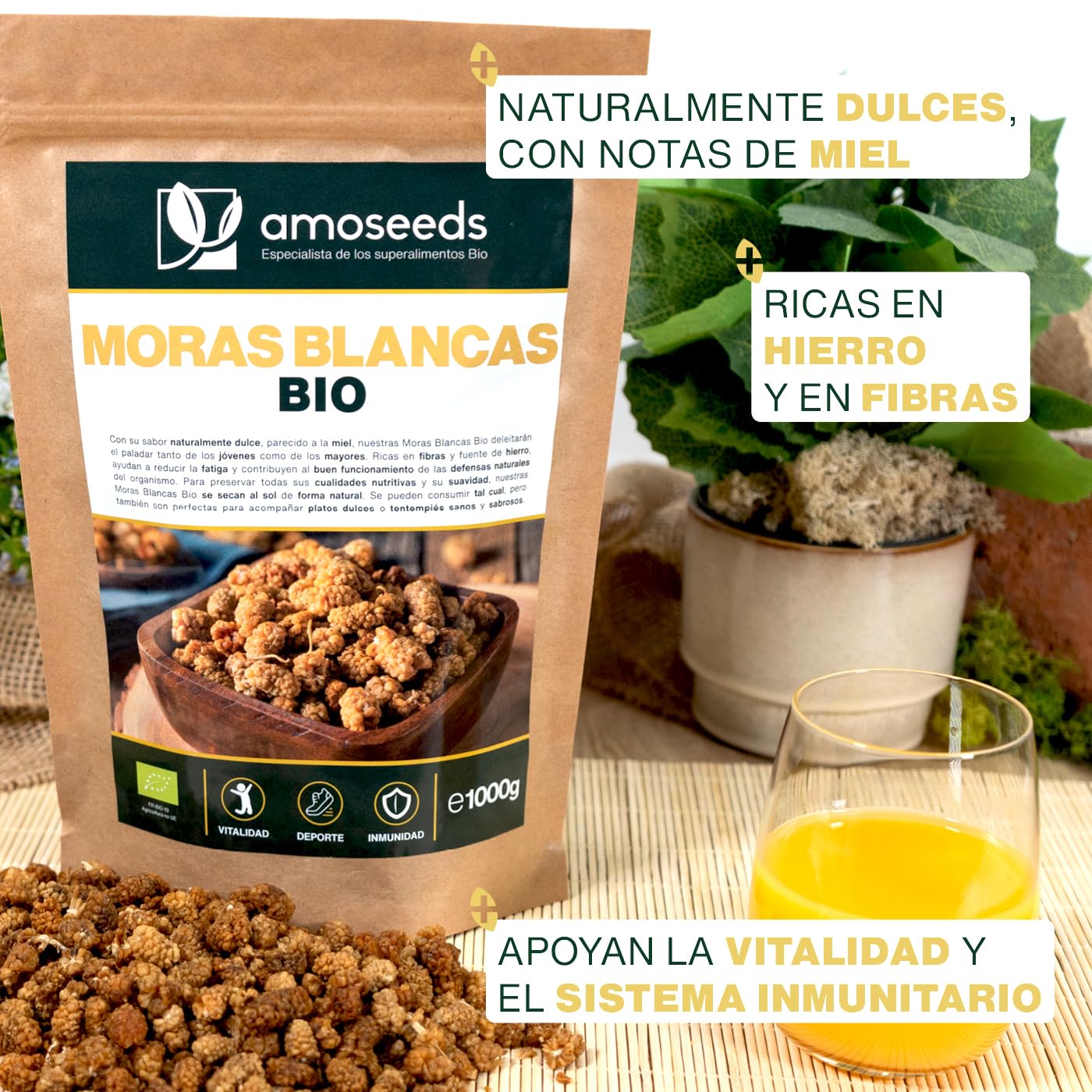 Moras Blancas BIO 1KG | Sin Azúcares Añadidos, ni Conservantes | Secadas al sol, 100% naturales | Primera Calidad