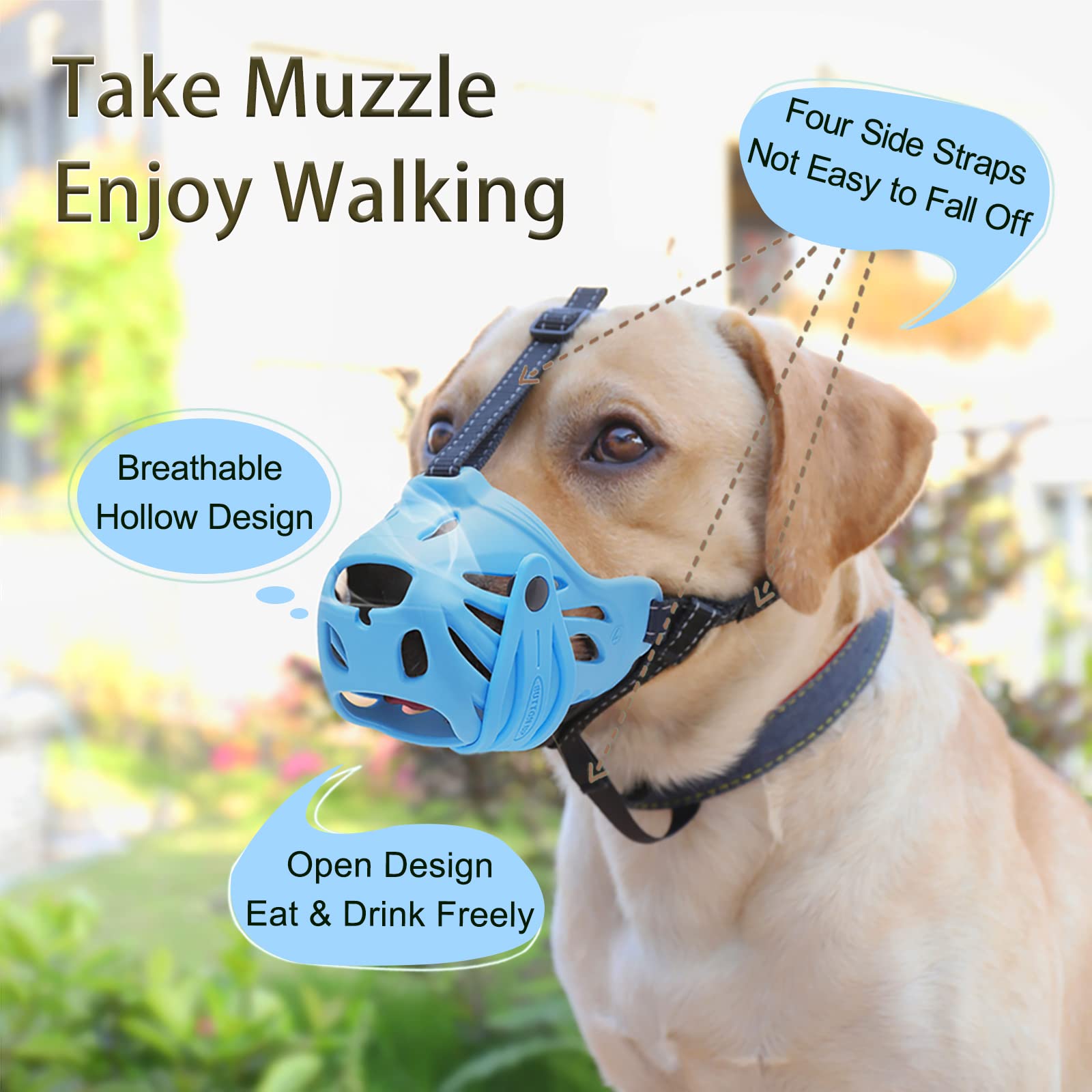 How Do You Get A Dog To Stop Eating Rocks