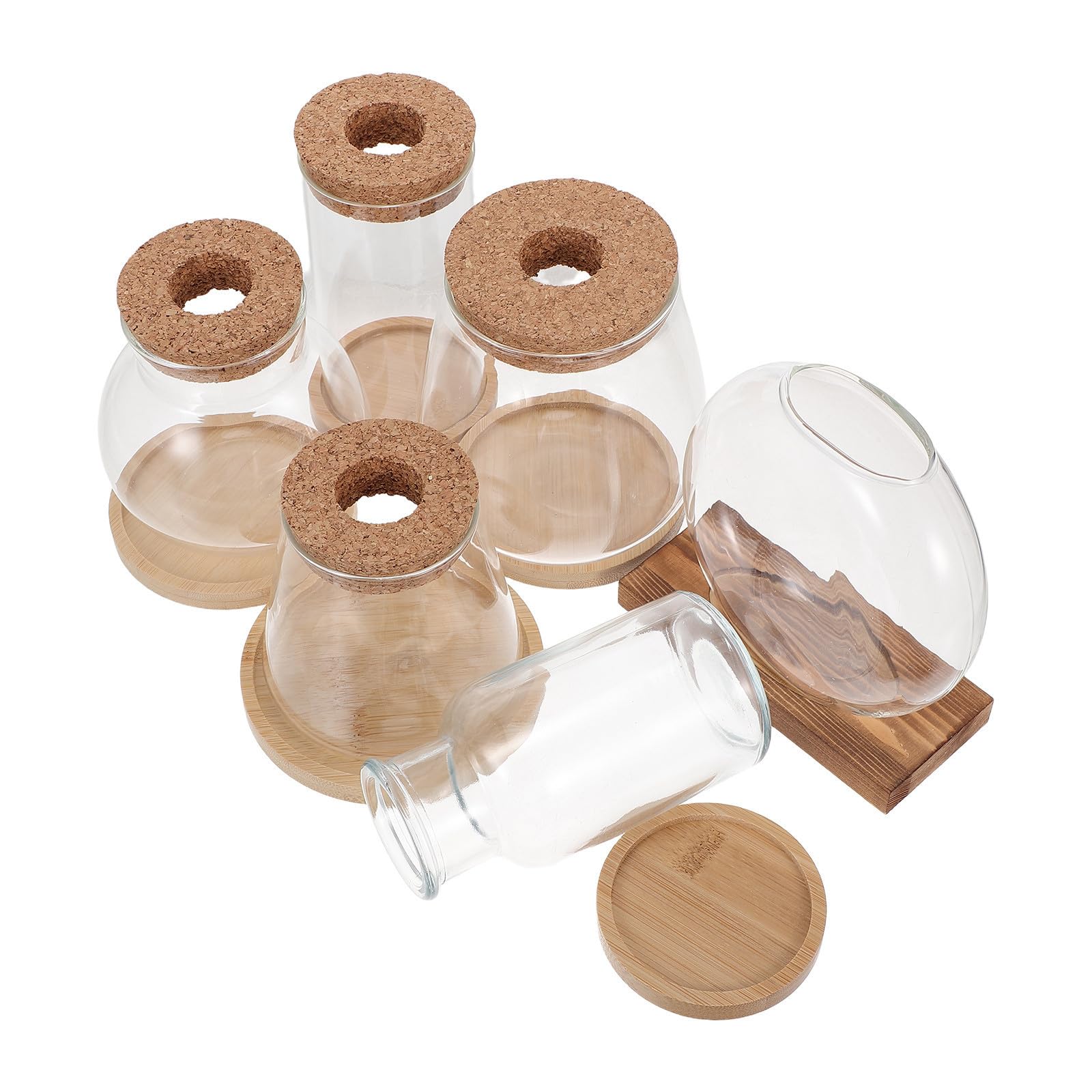 6 Pezzi Vetro Vaso in Sughero Idroponico in Coperchio Trasparente