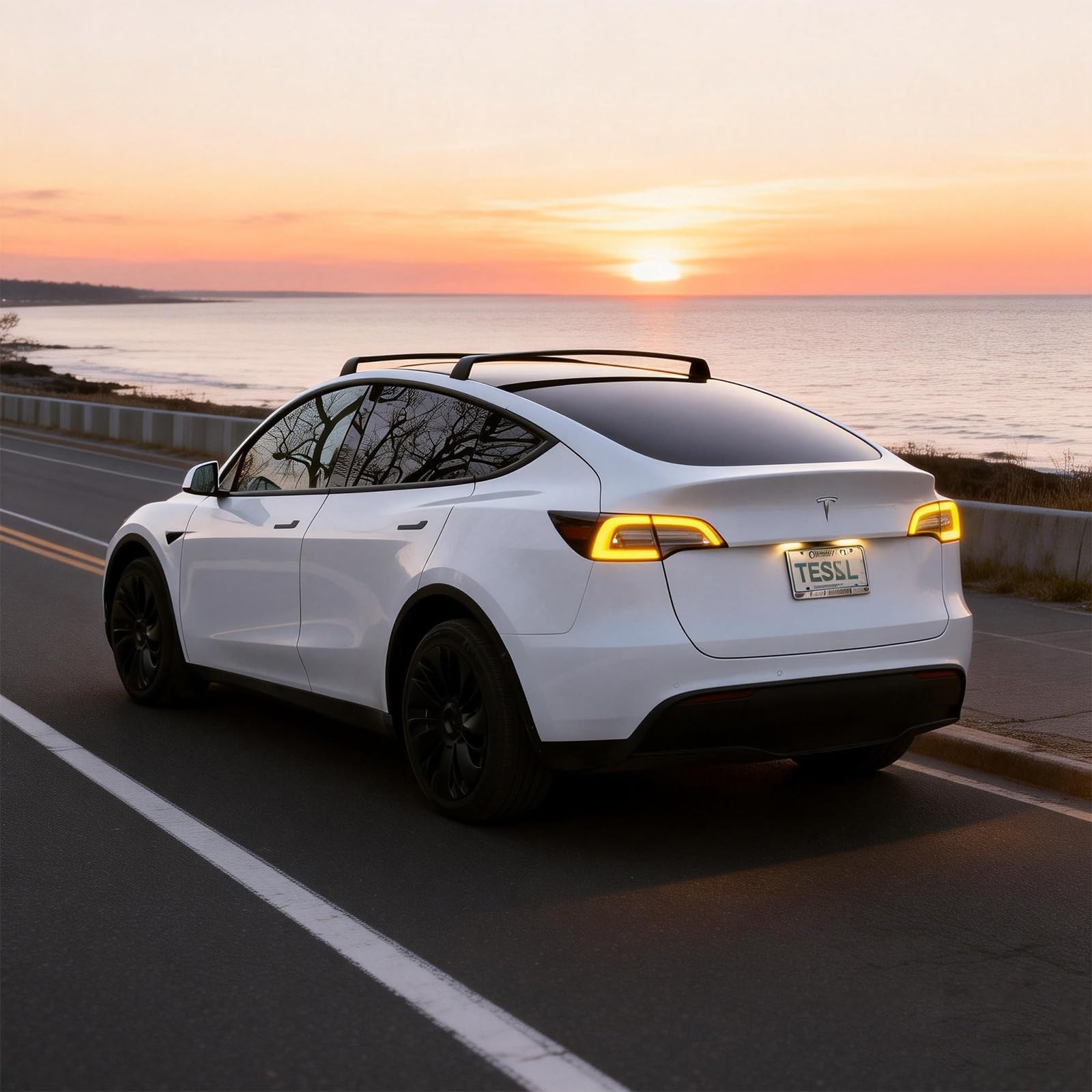 Amazon.com: Heenvn for Tesla Model Y Juniper Roof Rack Luggage