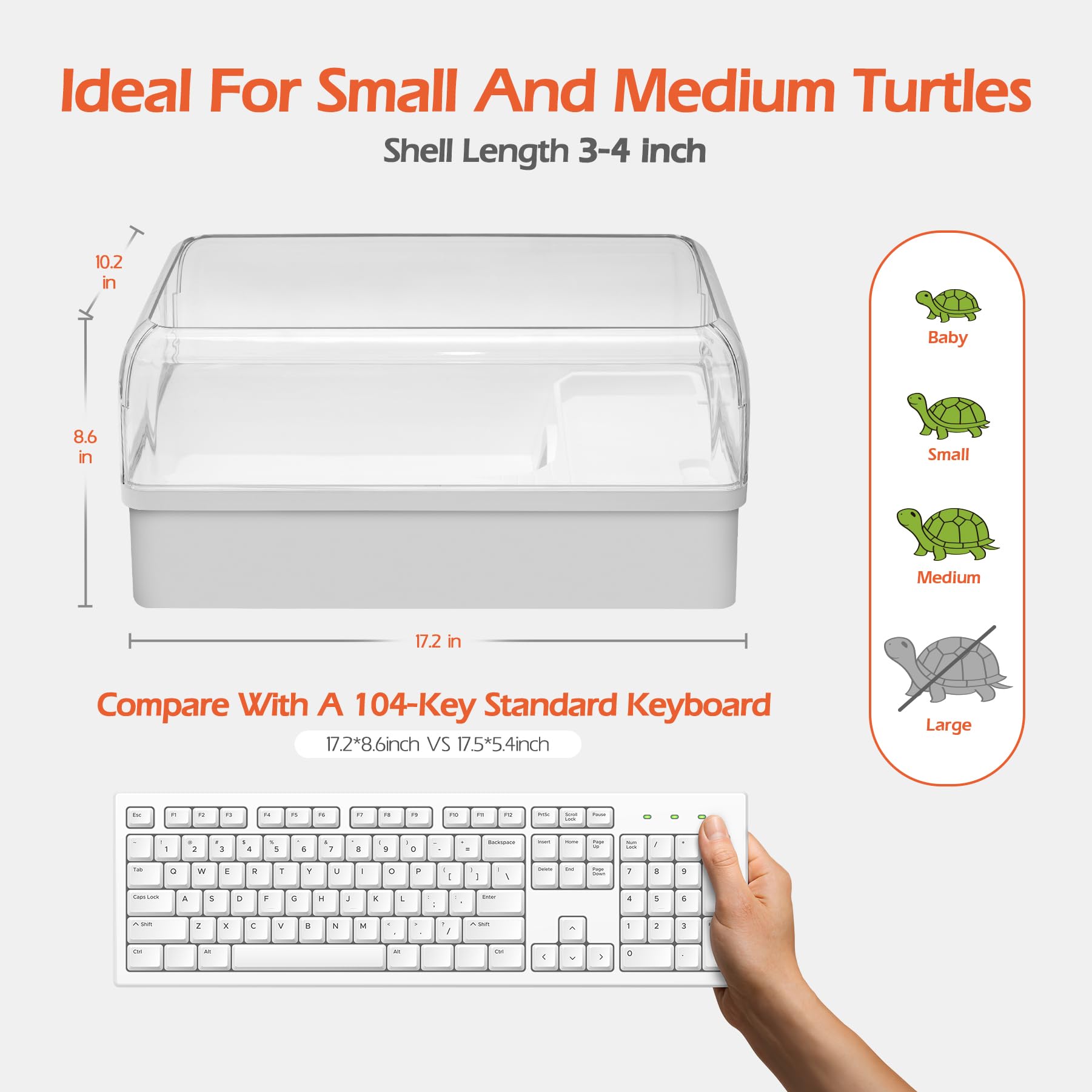 AZV Kit per habitat per tartarughe, completo per tartarughe acquatiche con filtro, piattaforma con nascondiglio, area multifunzione, drenaggio, piante e lampade, perfetto per acquario con orecchie