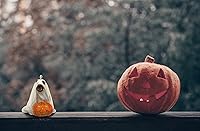 Vista 8 de Tree Buddees Lindo perro vestido como fantasma con calabaza adorno de Halloween