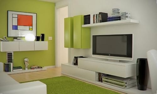 Afordable Budget Living Room Interior Designs Ideas Vol 2