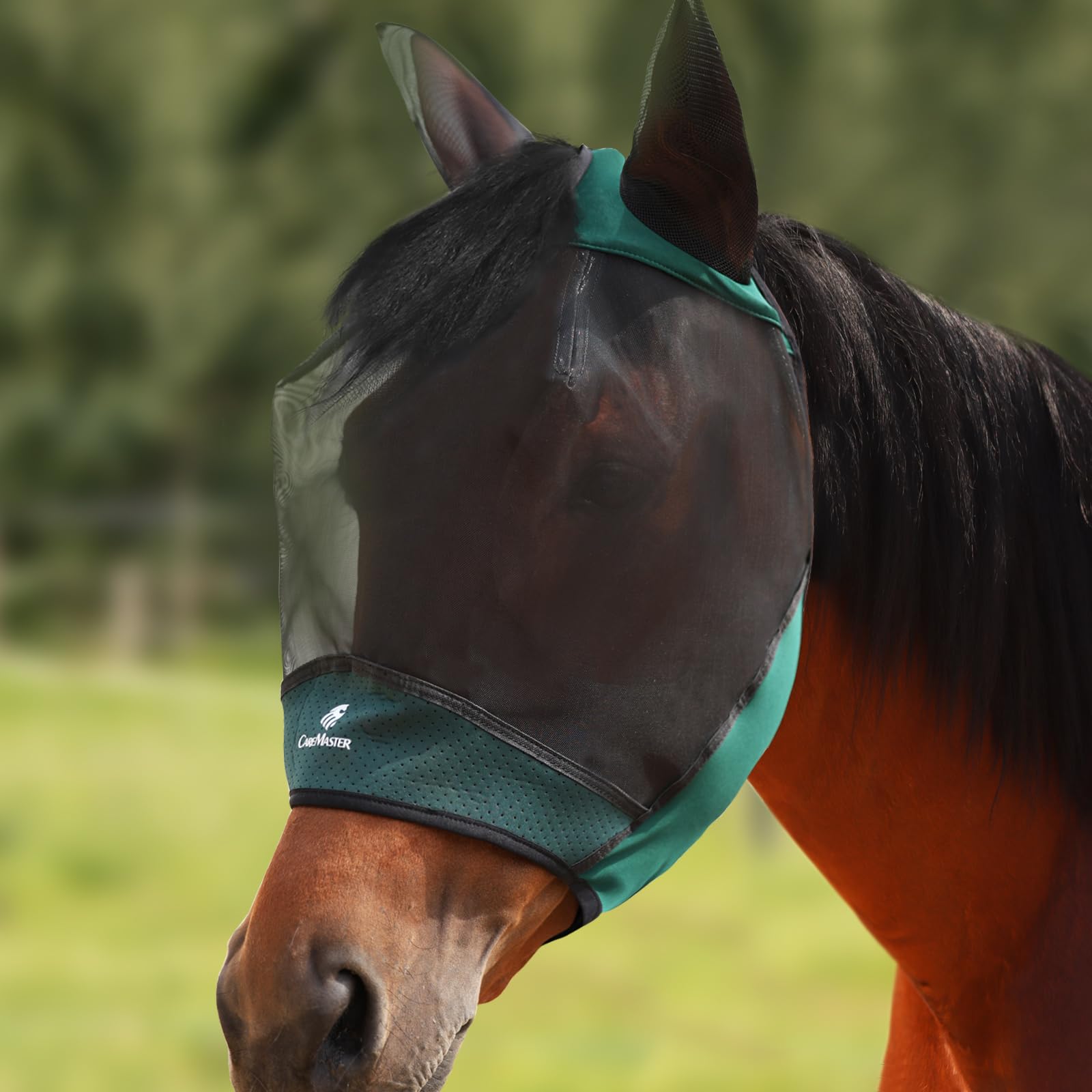 CareMaster Horse Fly Mask Large Space Breathable UV Protection Equine Mask with Reflective Features on Ears Hunter Green L