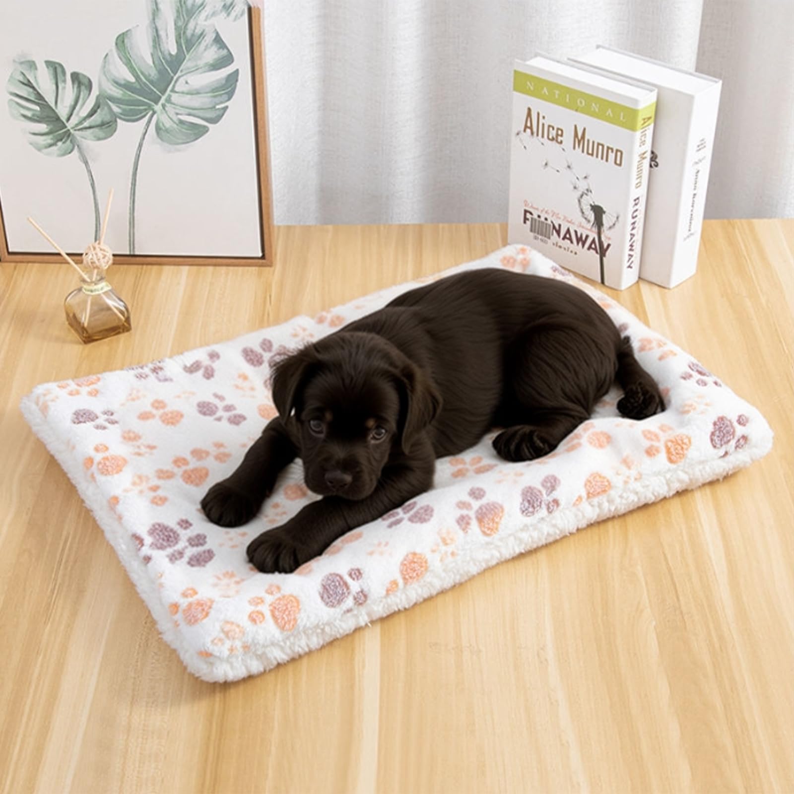 2 Pezzi Letto In Peluche Caldo Per Piccoli Animali, 40x30 cm Calda Coperta Per Porcellino D'India, Cuccia Soffice E Coperta Invernale Per Conigli, Criceti, Porcellini D’India E Cincillà