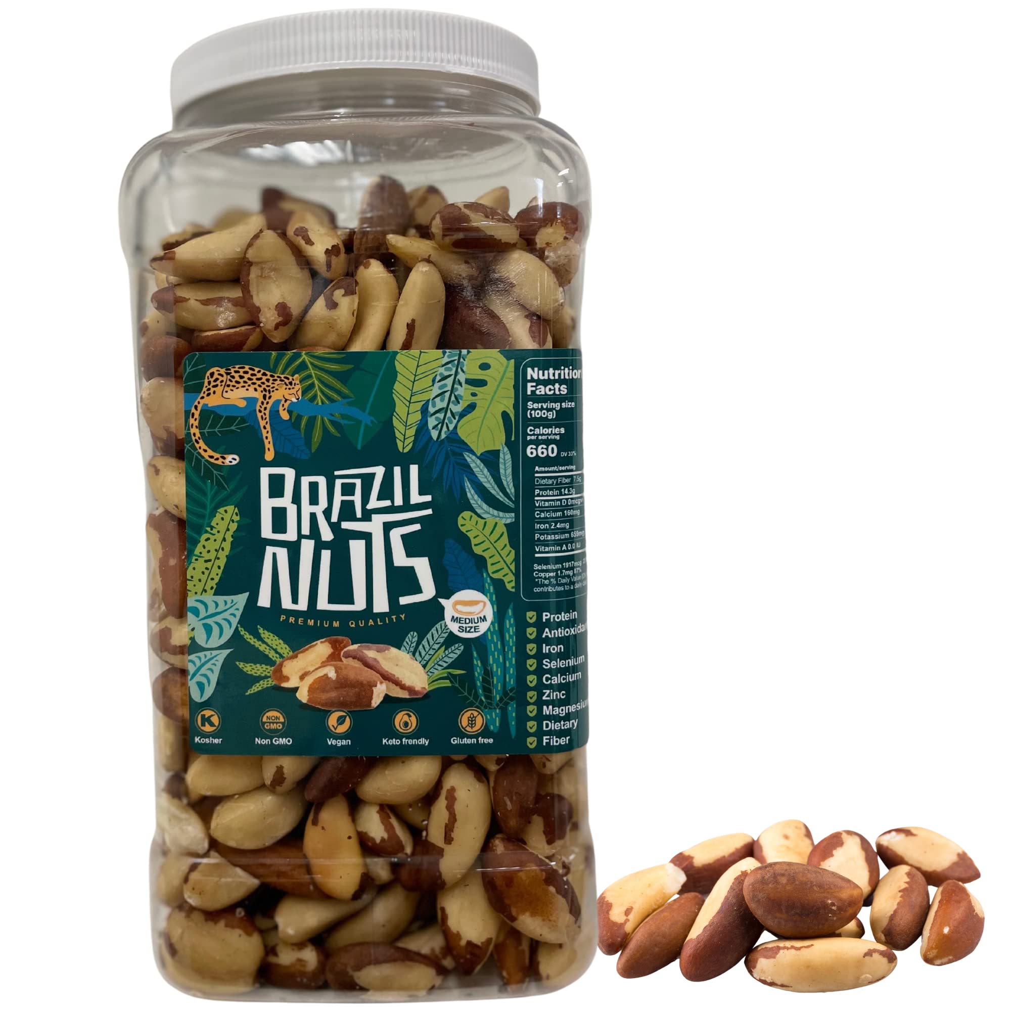 THE AMISH ECO-FARMMedium Brazil Nuts | Raw and Fresh 2.5 lb Jar