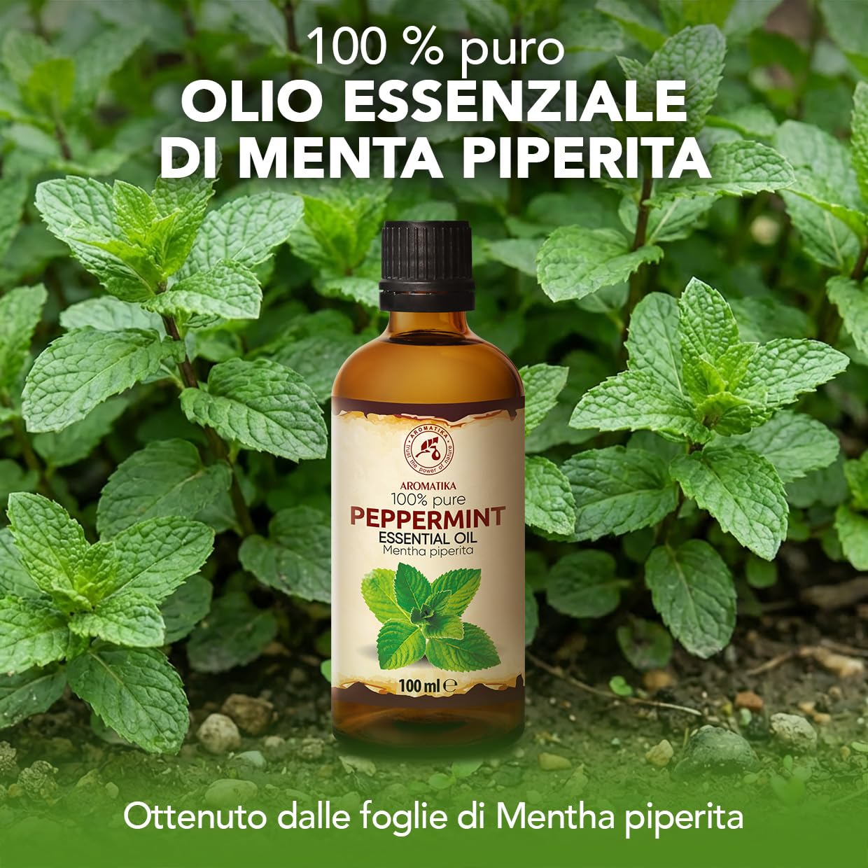 Olio essenziale di Menta Piperita 2x100 ml - Mentha Piperita - Naturale e Puro - Olio essenziali per Diffusori - Profumi per la Casa - Saponi e Candele - Sauna - Aroma Fresco - Aromaterapia
