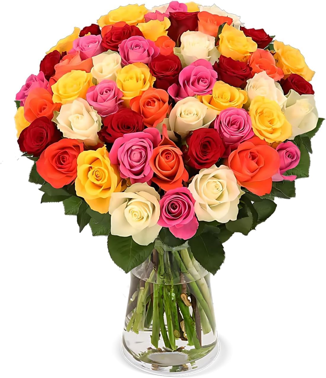 Blume Ideal Rosenstrauß - Rosen in verschiedenen Farben und Mengen - Ø 40–50 cm - Echte premium Blumen für Hochzeit & Deko - 7 Tage Frischegarantie