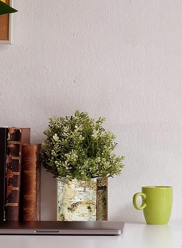 Miniatura 2 de Serene Spaces Living Jarrón grande de corteza de abedul blanco con interior de vidrio, centro de mesa decorativo, pieza de acento rústica, ideal