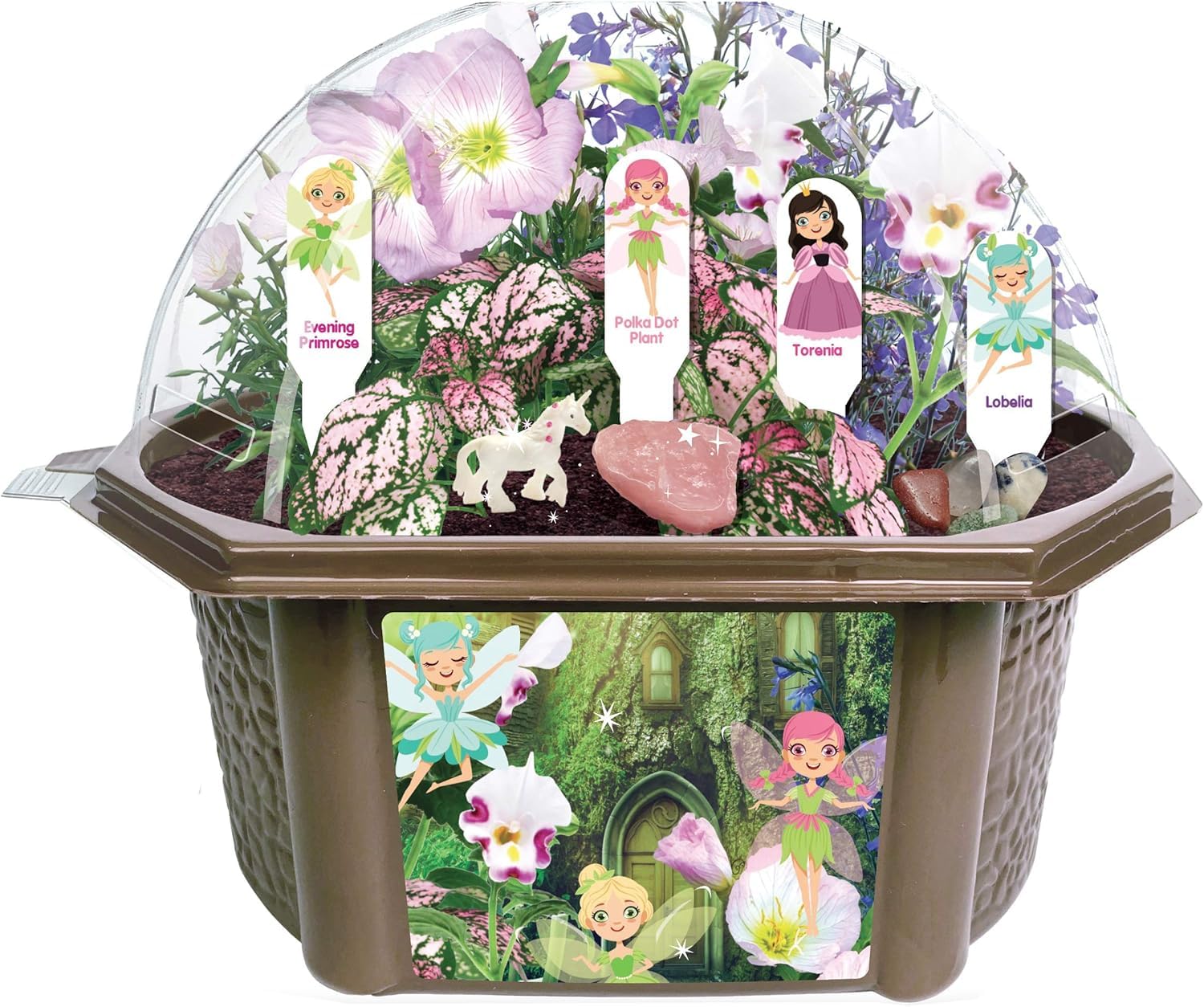 Toys by Nature Fanciful Fairy Biosphere Terrarium Starter Kit
