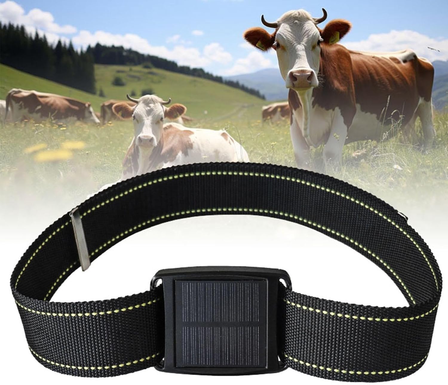 Rastreador solar de animales, rastreador GPS for vacas, seguimiento histórico, posicionamiento en tiempo real, resistente al agua, apto for ganado vacuno, ovino, equino, camello y fauna silvestre.