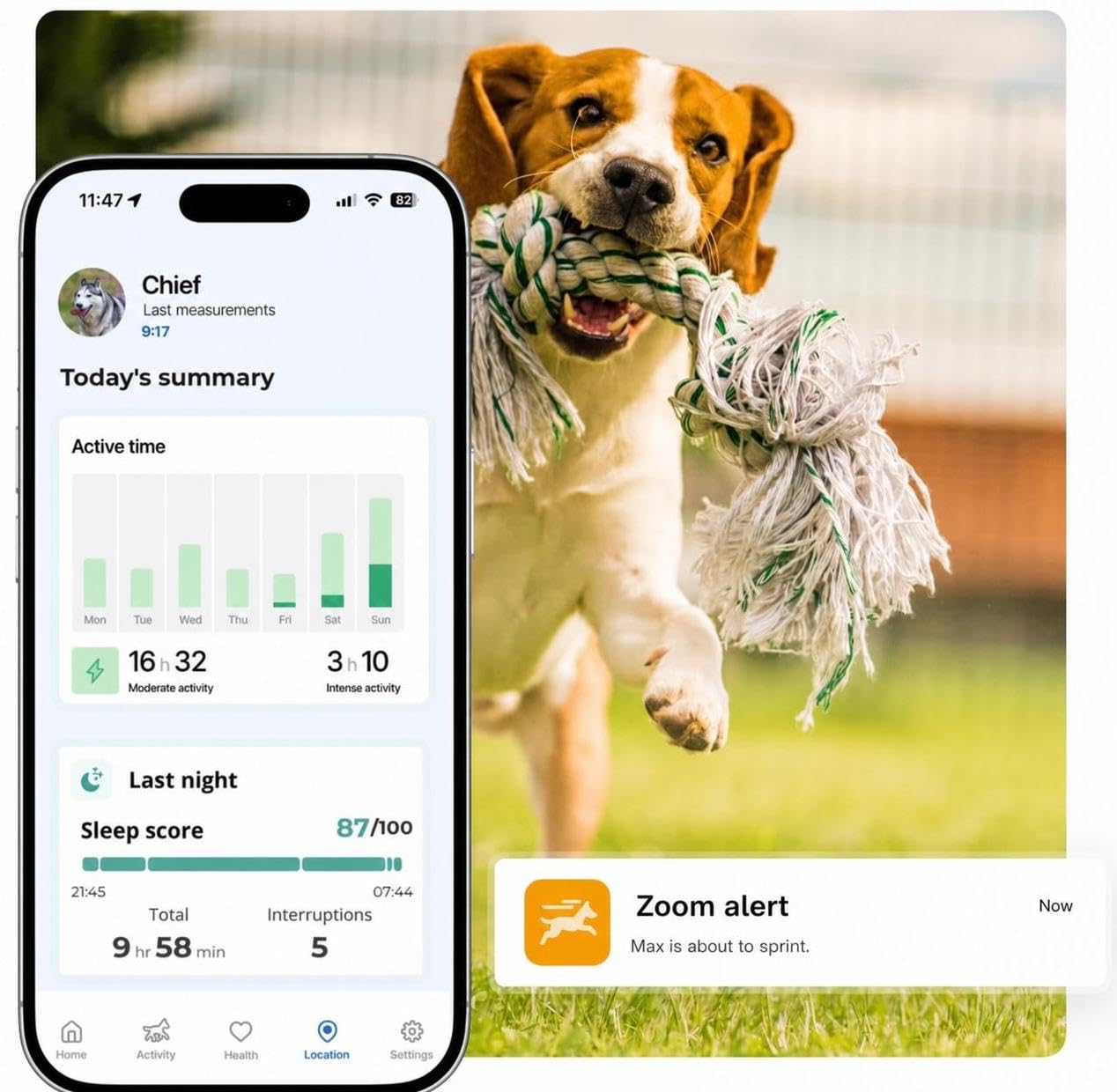 Invoxia Biotracker Edizione 2026 GPS Salute per Cane