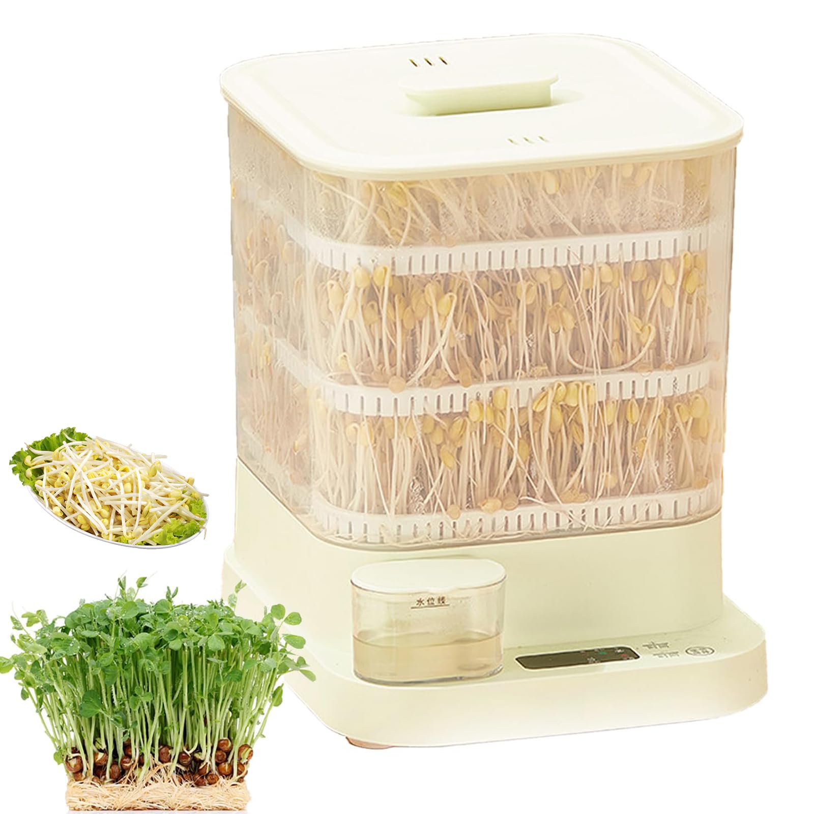 Germes de haricots frais au quotidien avec ce germinateur 3 couches