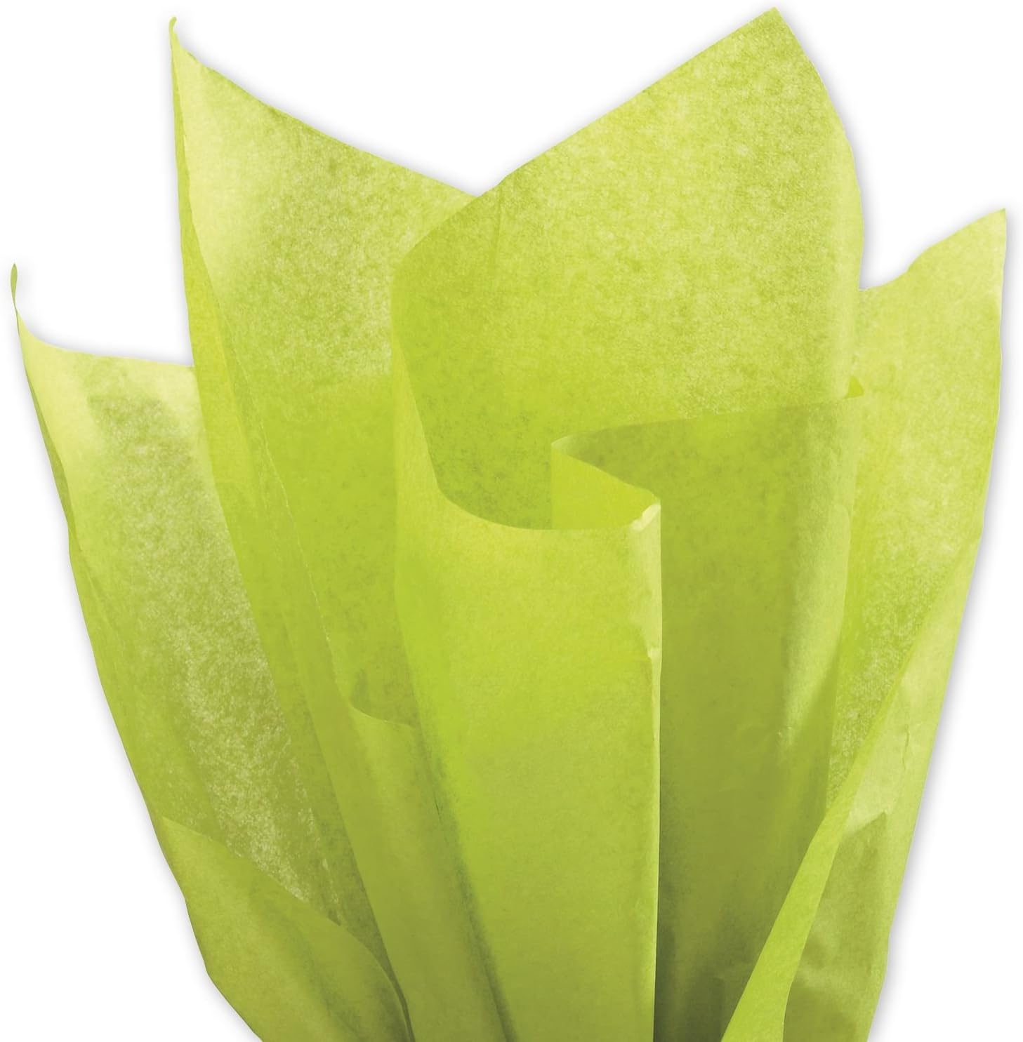 Groovy Green Gift Wrapping Tissue Paper for Gift Packaging, Floral, Birthday, Christmas, Halloween, DIY Crafts and More 15" X 20" 100 Sheets.