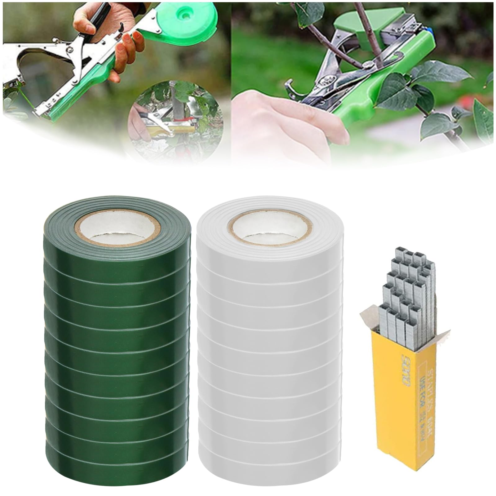 Virsus 50 Canne in Acciaio con Rivestimento in Plastica Verde, Lunghezza 150 cm, diametro 11 mm, Stecche Sostegno per piante Rampicanti, Ortaggi, Pomodori, per giardino, orto -6401F
