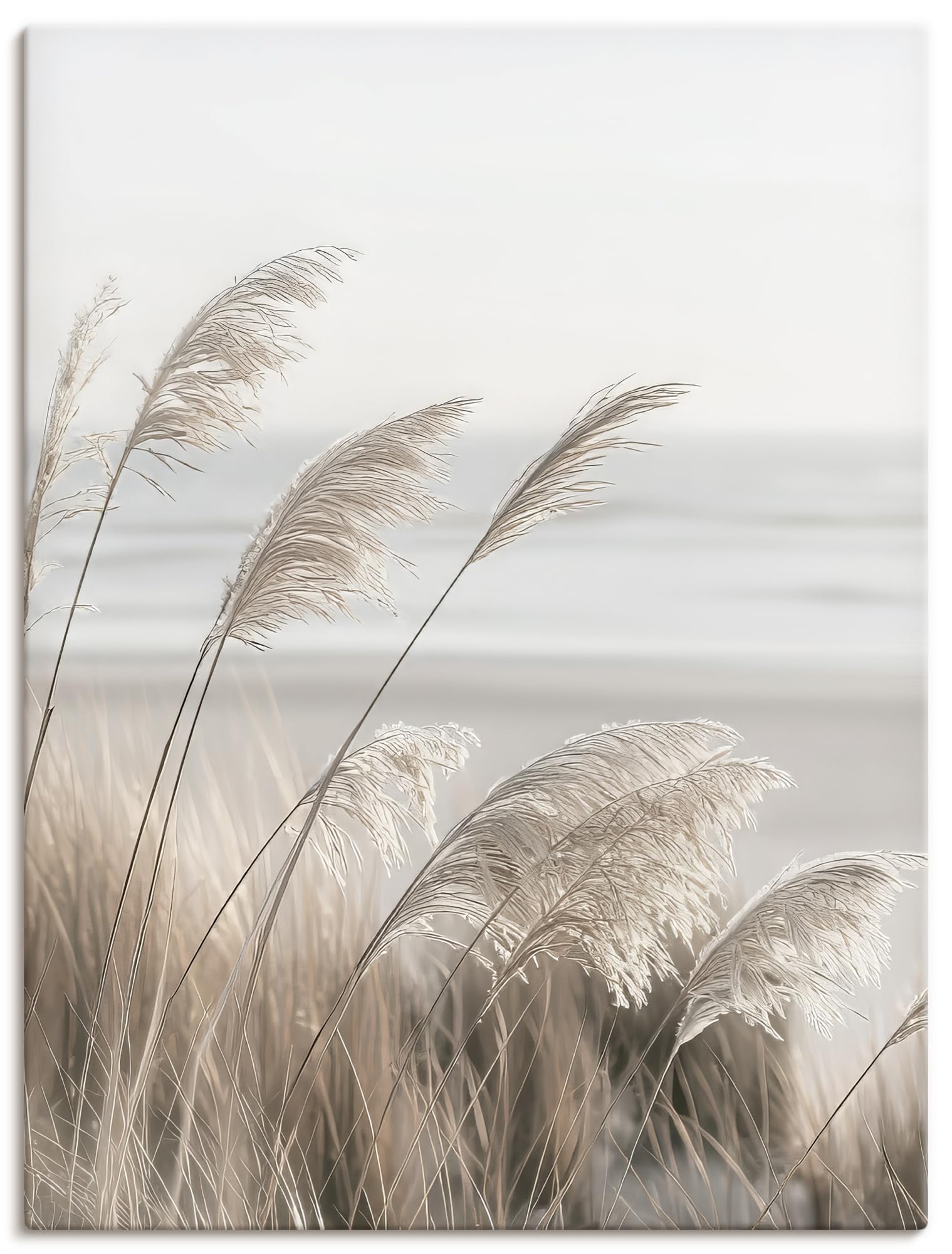 ARTLAND Wanddeko Leinwand Bilder Wandbild 45x60 cm Pflanzen natural elements Gräser Pampasgras Strand Boho Deko U5GO