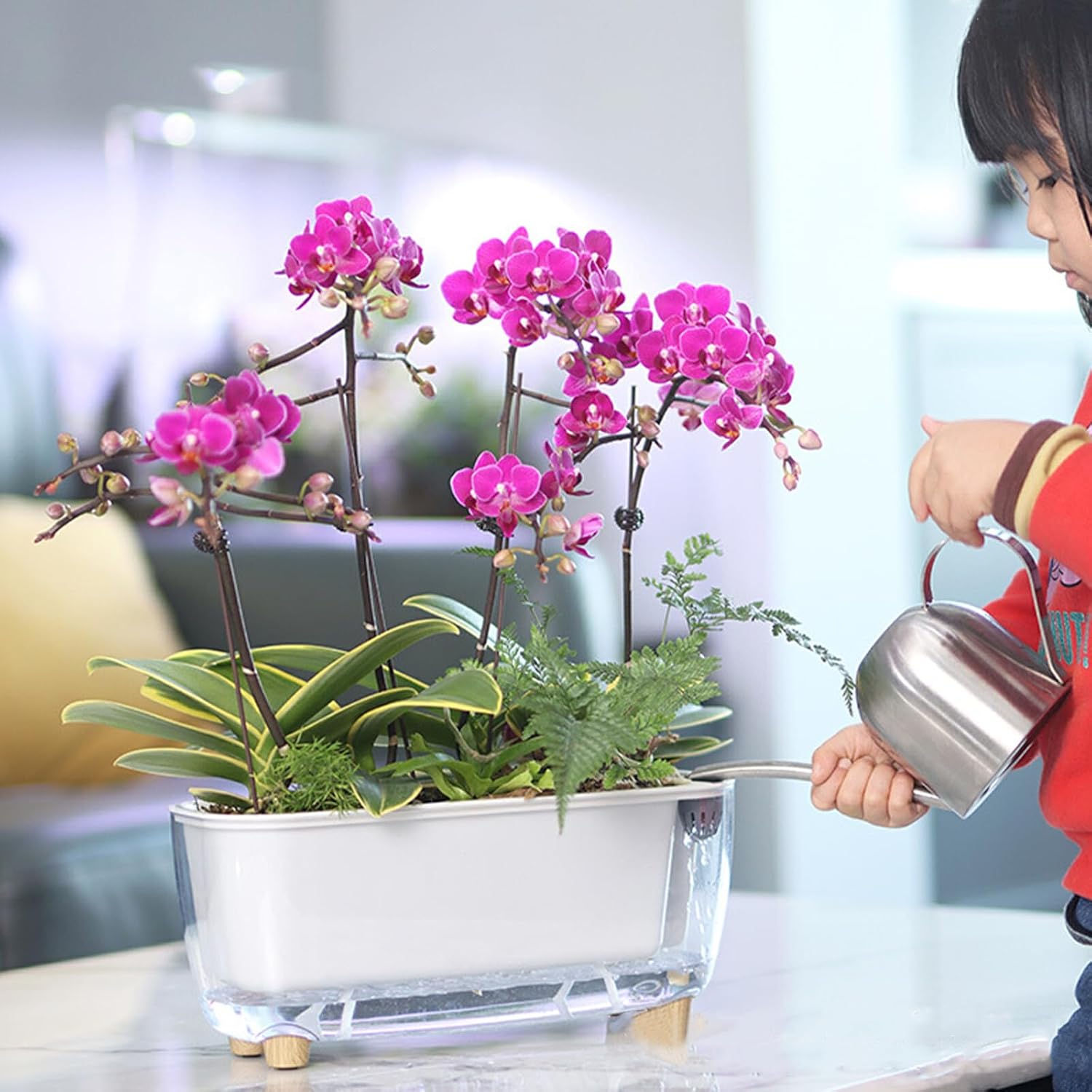 Derefine Rectangular Planter 11.8 x 4.6 in Self Watering Planter, Rectangle Planter Self Watering Pots Plastic Plant pots, Decorative Planter Pot for All House Plants Flowers Herbs(Transparent)