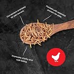 8 oz - Ma Poule Express Vers à repas séchés pour oiseaux sauvages, etc. Env. 8,000 Vers des repas