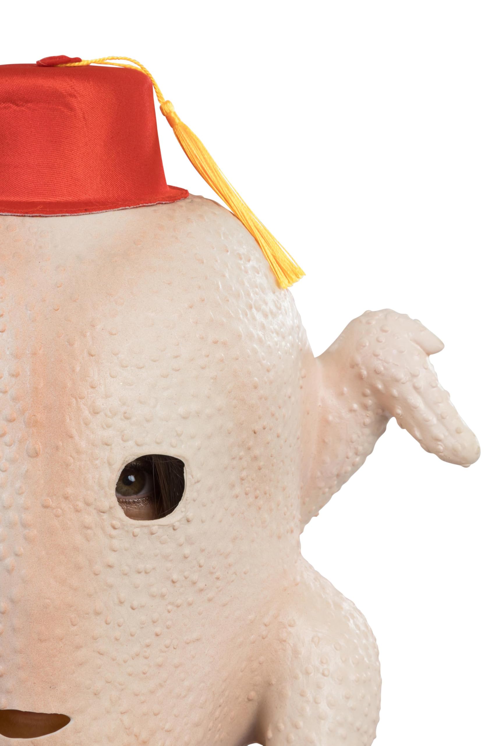 Chaks - Latex Turkey Mask with Red Hat, Costume Accessory for Carnival Theme Party, Thanksgiving & American Events - Image 4