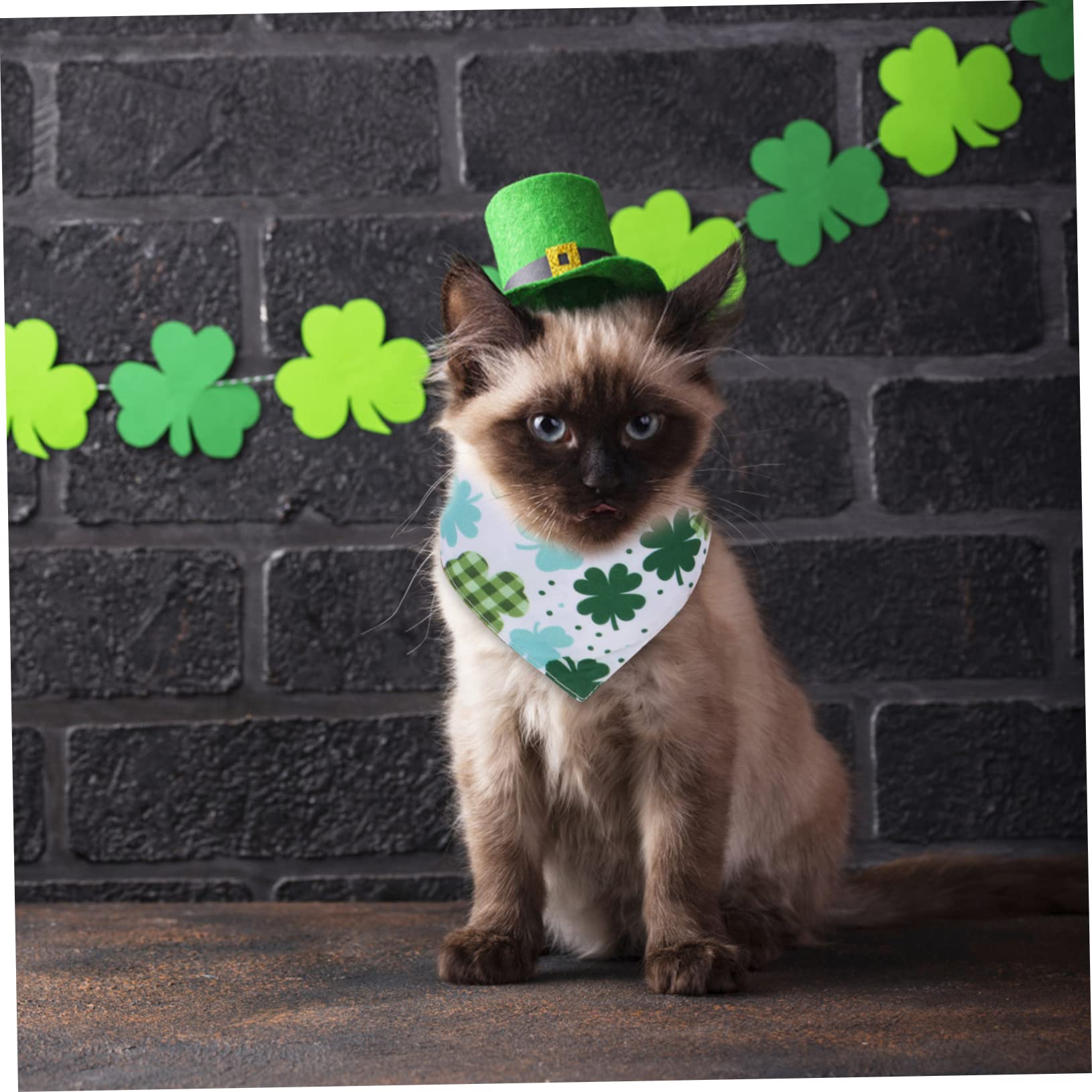 Toddmomy 8pièces Bandana Décoratif pour Chiens Et Écharpe Adorable pour Animaux De Compagnie pour Et Événements Spéciaux