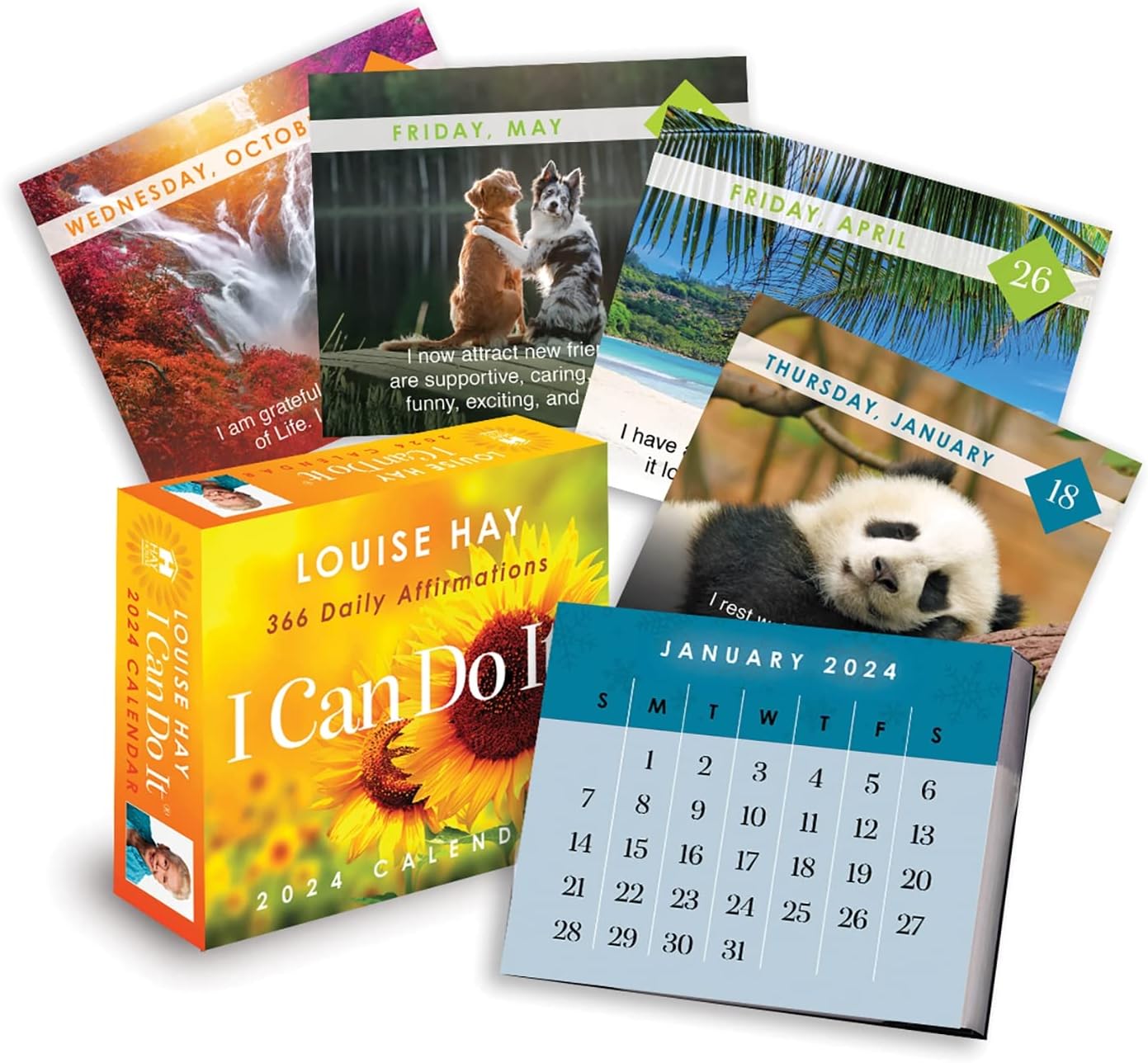 I Can Do It® 2024 Calendar: 366 Daily Affirmations