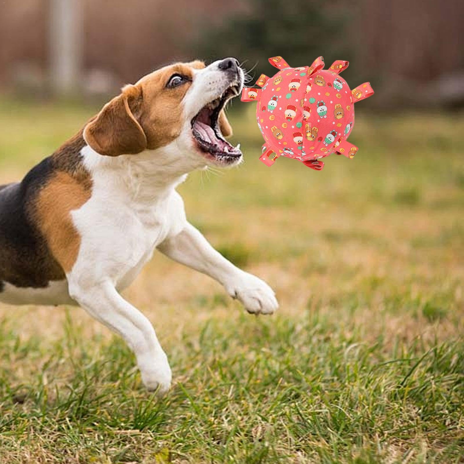 View 4