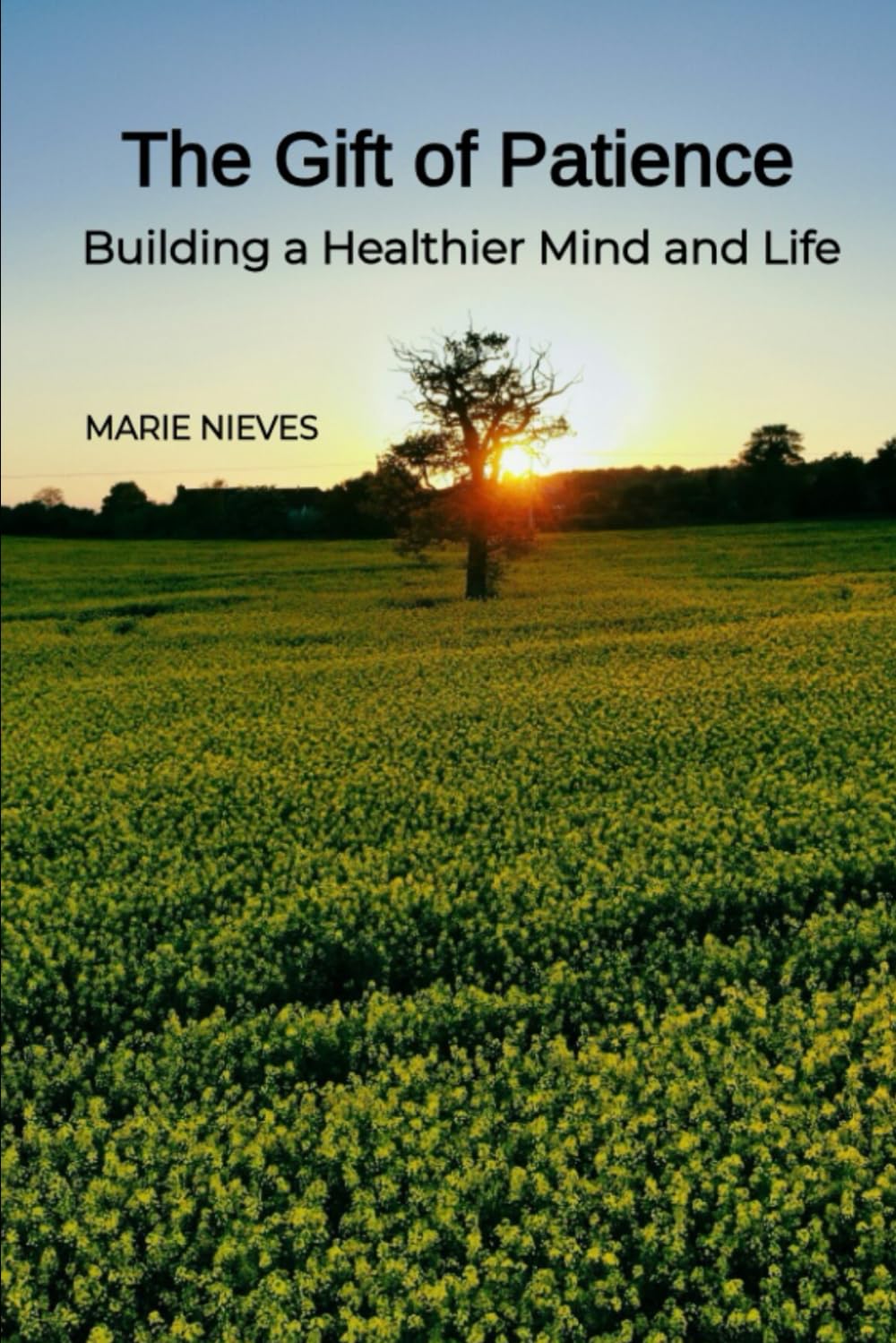 The Gift of Patience: Building a Healthier Mind and Life: 7 (Motivation & Inspiration for You)