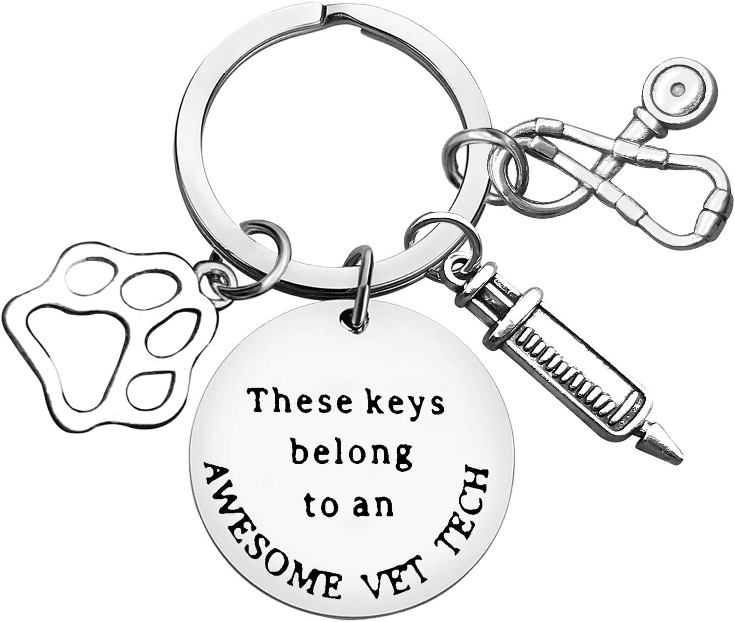Key Chain Veterinary Amazon.com: Vet Tech Keychain Veterinarian Appreciation Gift Awesome ...