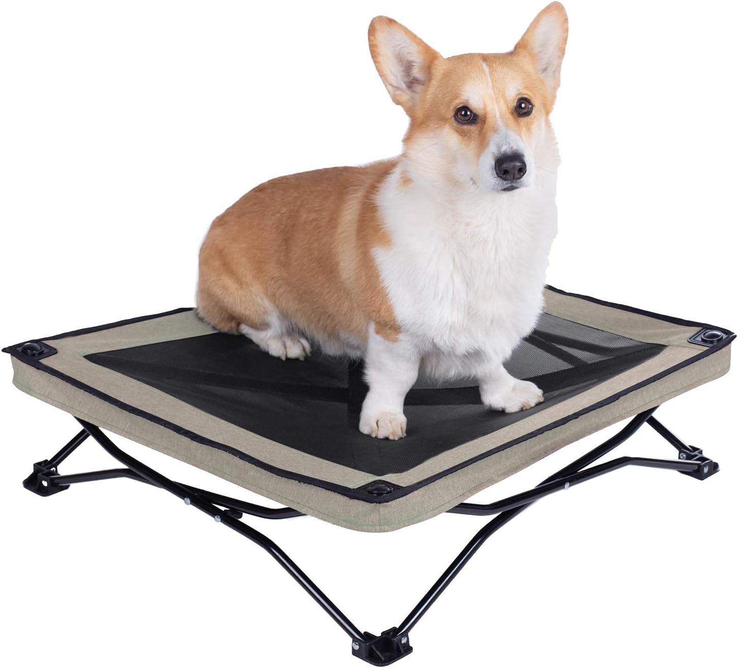 folding dog bed