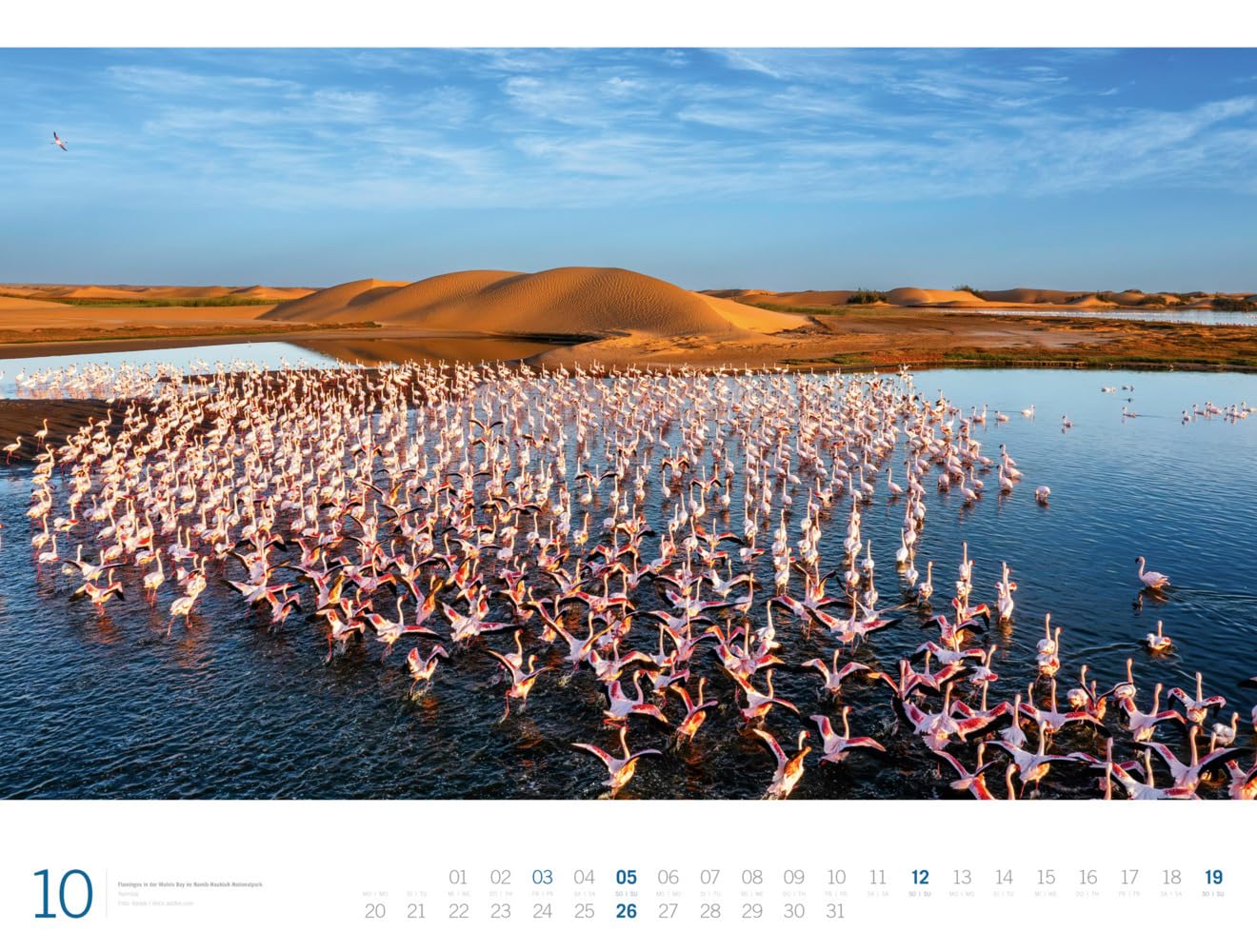 Afrika - Ackermann Gallery Kalender 2025, Wandkalender im Querformat (66x50 cm) - Großformat-Kalender / Hochwertiger Panorama-Kalender Tiere und Natur