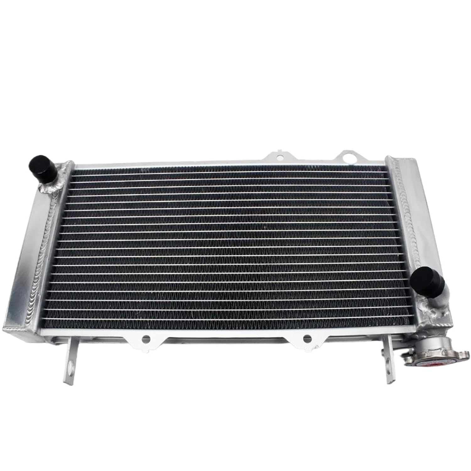 BIKINGBOY Compatible with Pioneer 500 15-22 1000 16 17 18 19 20 TRX700XX 08 09 TRX250R Fourtrax 86 87 Engine Cooling Radiator Cooler(TRX250R 86 87)