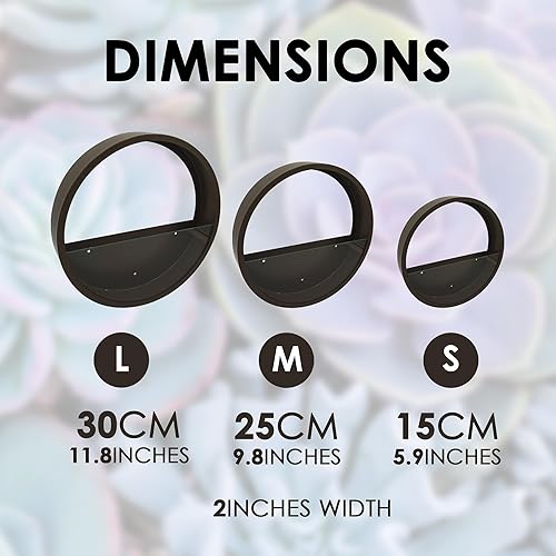 Miniatura 2 de Macetas colgantes enmarcadas con frente de cristal accesorios estéticos perfectos para pared, elegante juego de decoración para el hogar (pequeño,