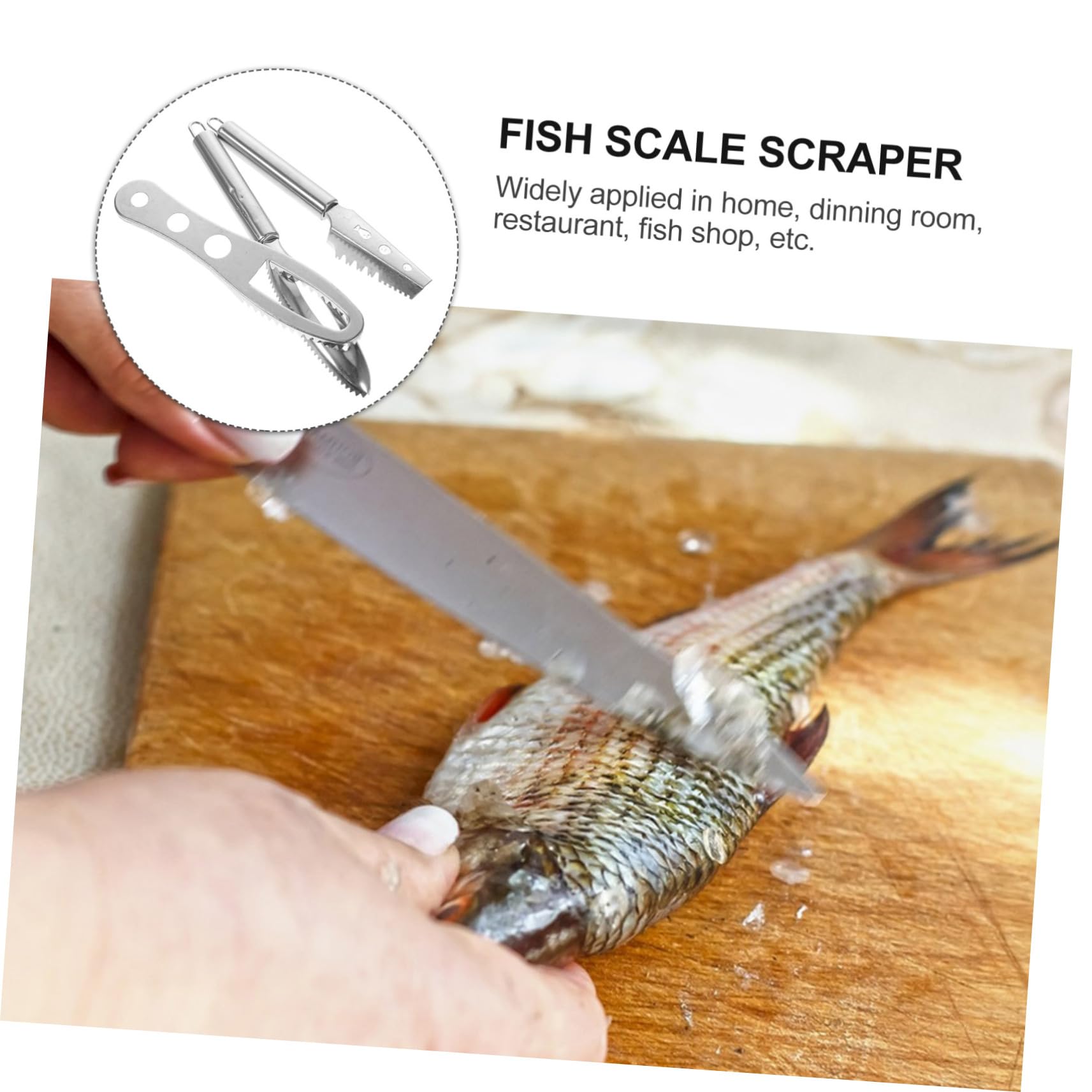 STOBAZA 3Pcs Stainless Steel Tool and Lightweight Fish Scraper for Easy Scale Cleaning and Fast Removal Kitchen
