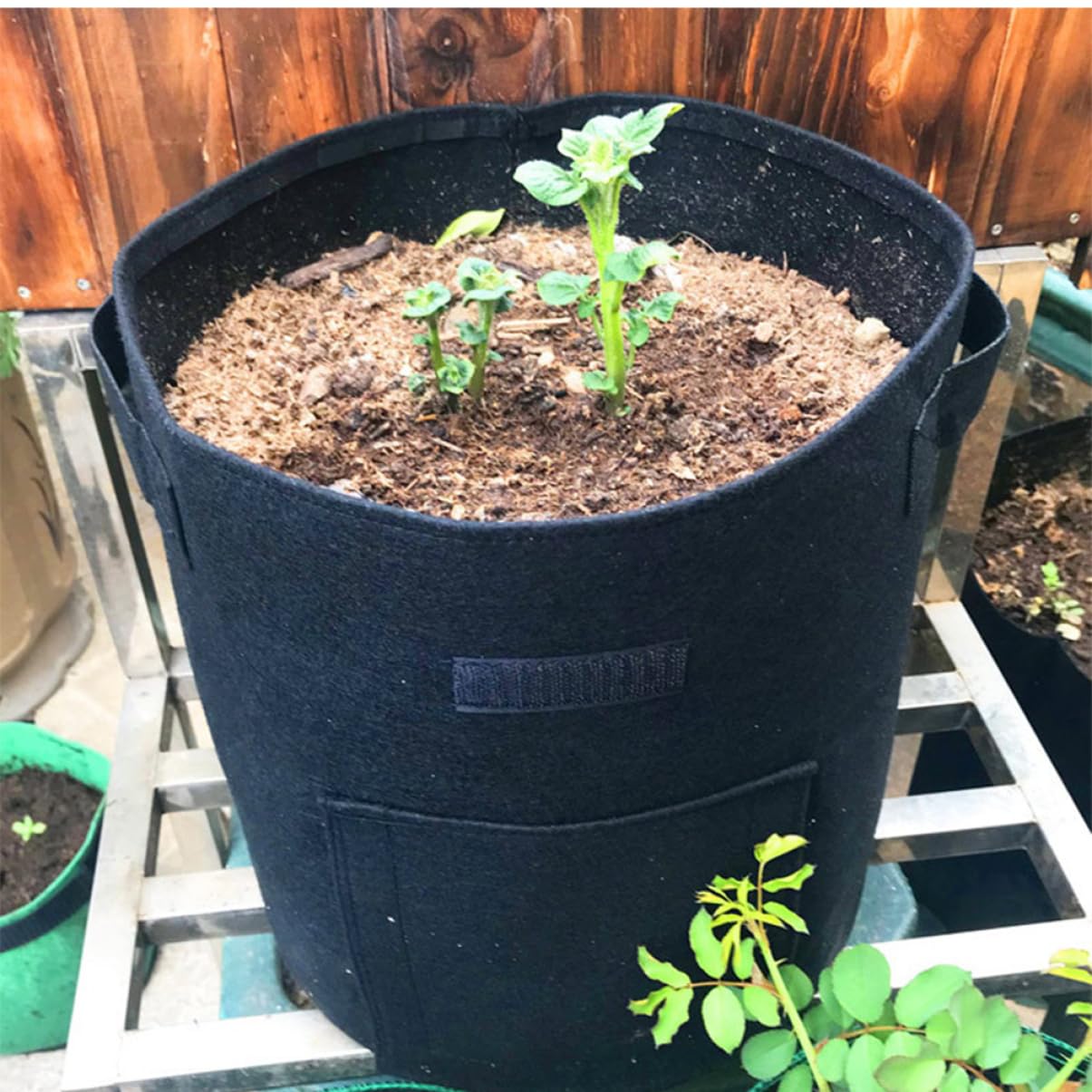 5 Stück Pflanzbeutel aus Vlies für Süßkartoffeln 4 Gallon Wetterfest mit Griff