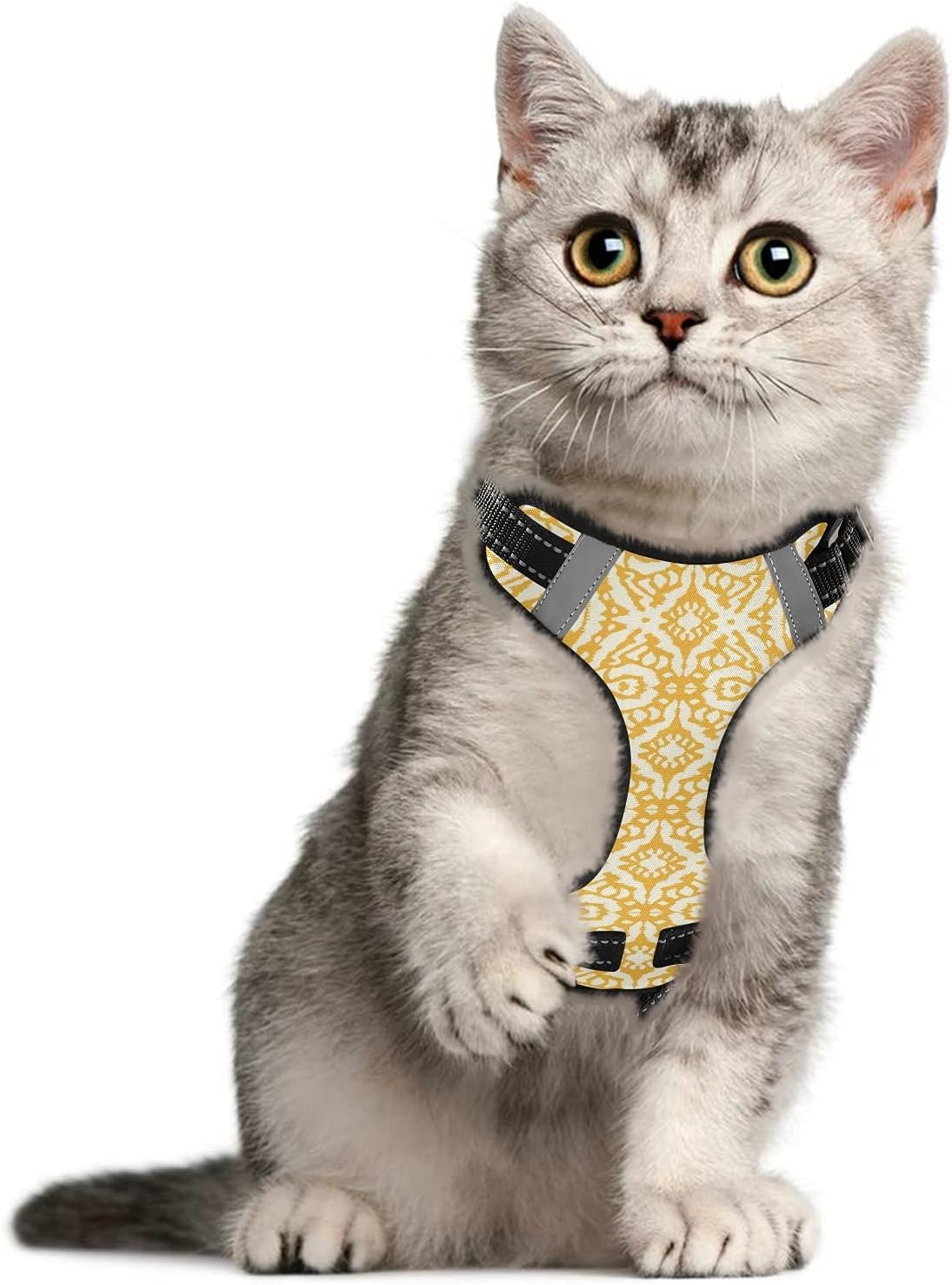 cat harness with handle
