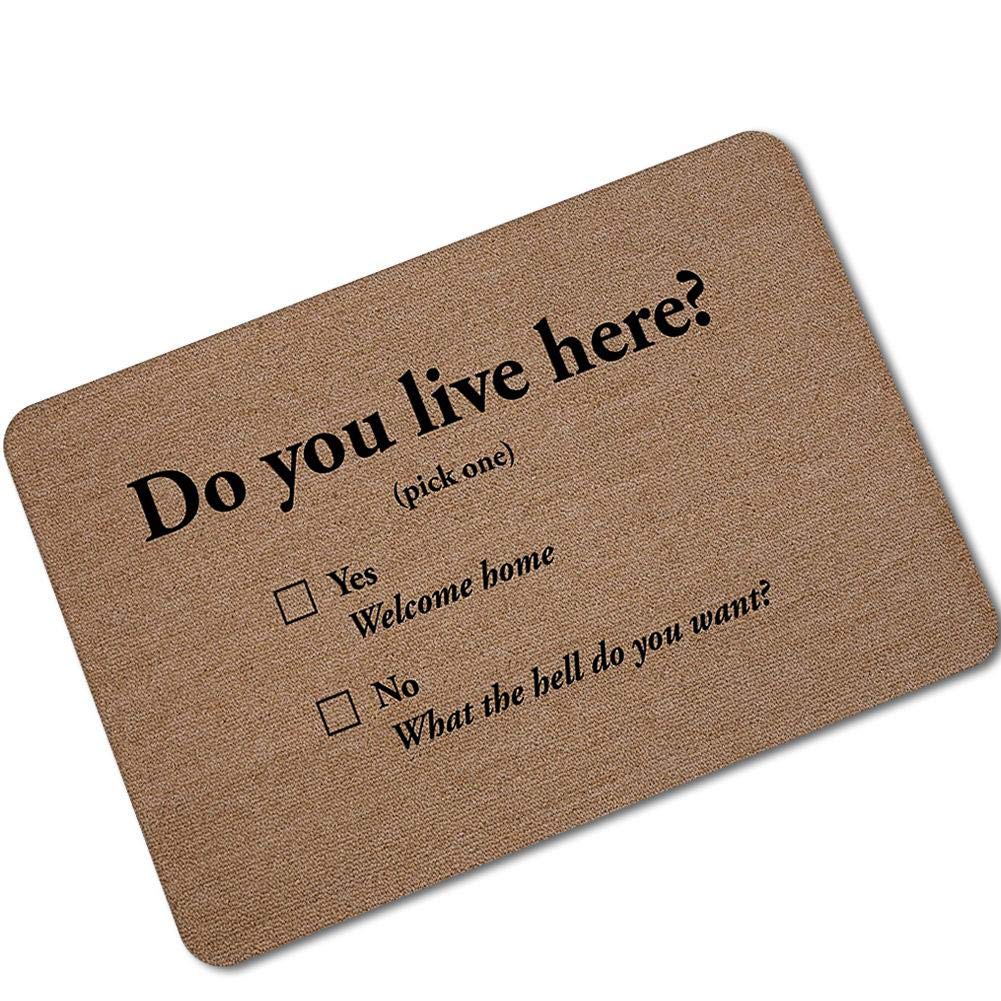 Indoor Doormat,(60X40Cm) Absorbent,Rubber Backing Non Slip Door Mat, Machine Washable Inside Mats,Low-Profile Rug Doormats For Entry, Mud Room, Back Door, Bathroom,High Traffic Areas