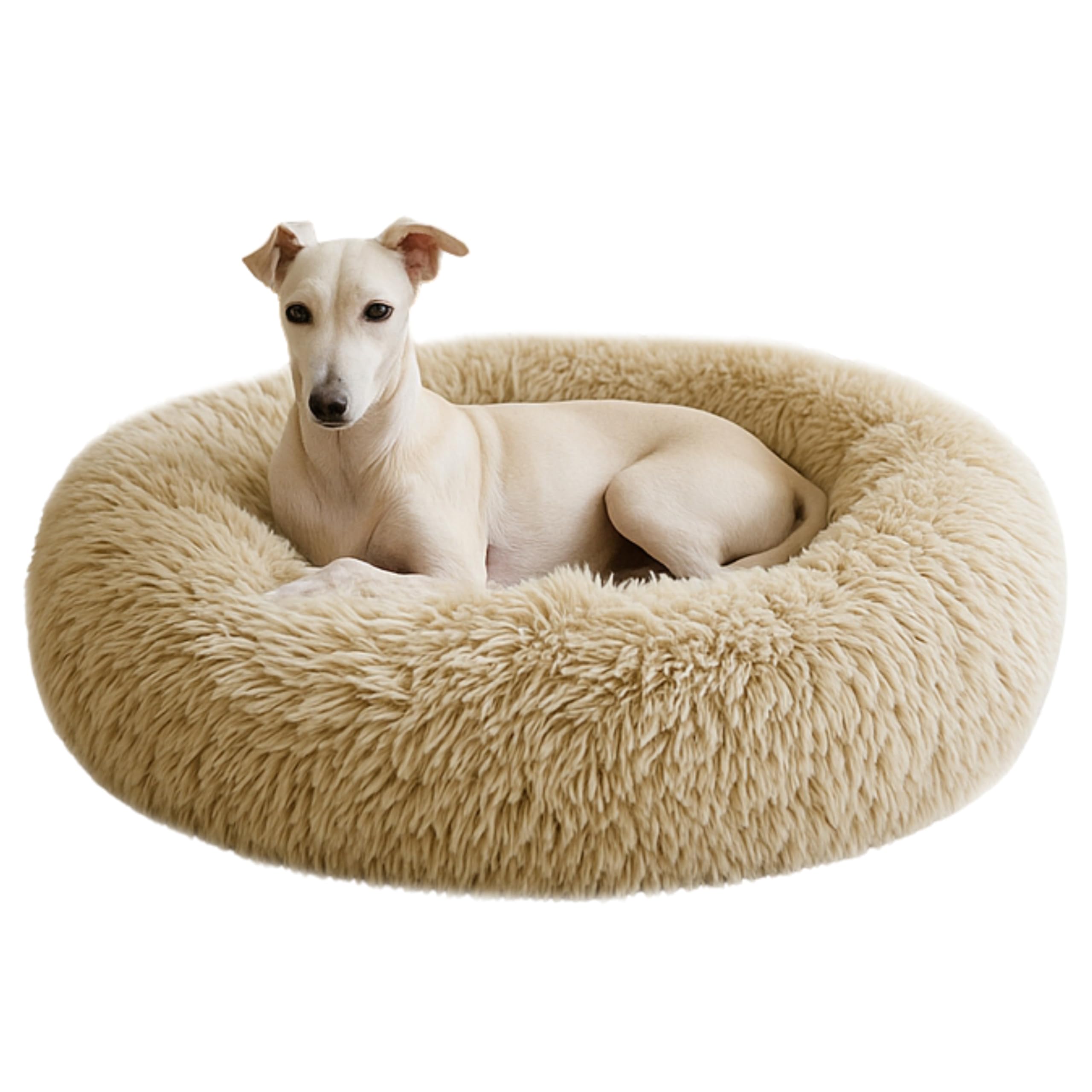 Lettino Per Cani E Cuscino Gatto 80 cm - Cuscino Cane Rotondo In Materiale Shaggy - Soffice Cuccia Cane Interno Con Fondo Antiscivolo - Cat Con Dog Bed Con Cerniera - Beige