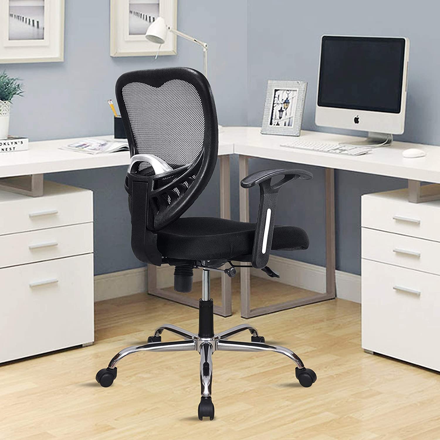 World Office Furniture Polypropylene Ergonomic Office Chair ( Black