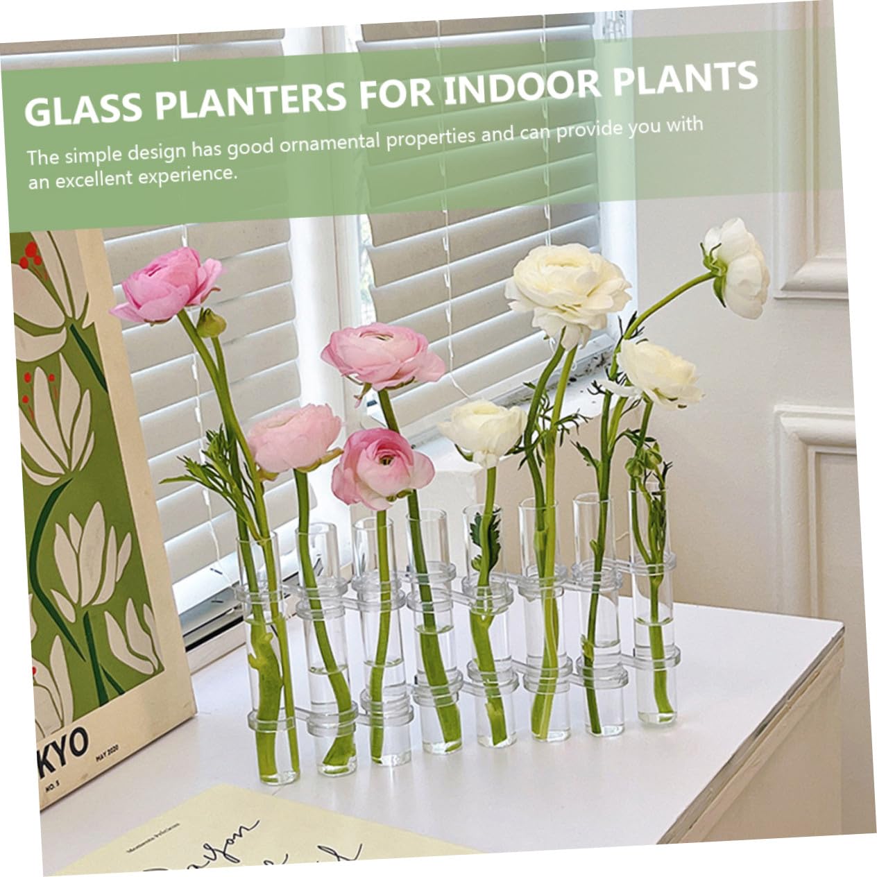 Vase Hydroponique Transparent Verre Tubes De Propagation pour Plantes avec Support pour Culture Pot Ou Terrarium
