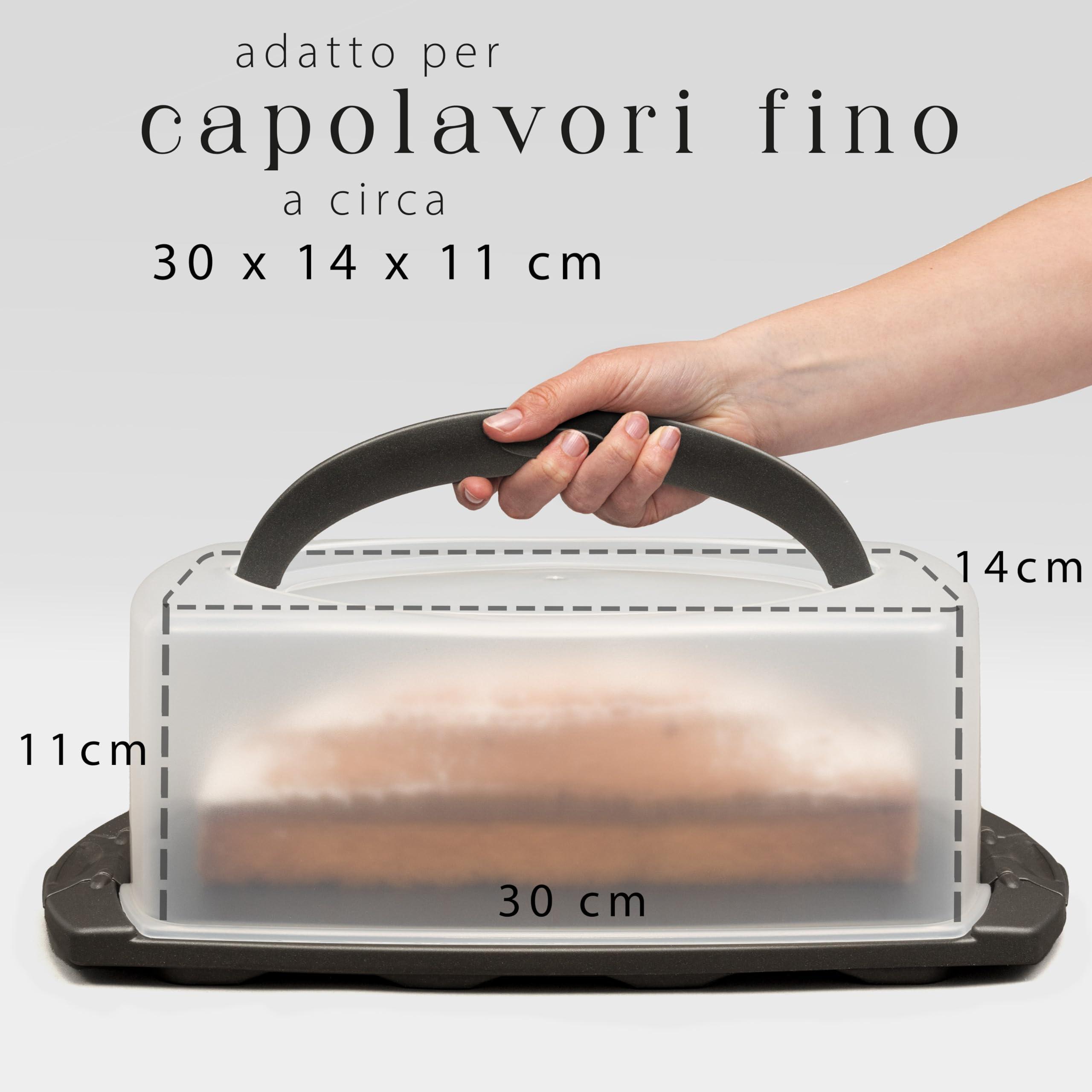 Hausfelder porta torta rettangolare con coperchio e manico, contenitore rettangolare vetro torta, portatorta plastica, 34 x 17 x 12 cm
