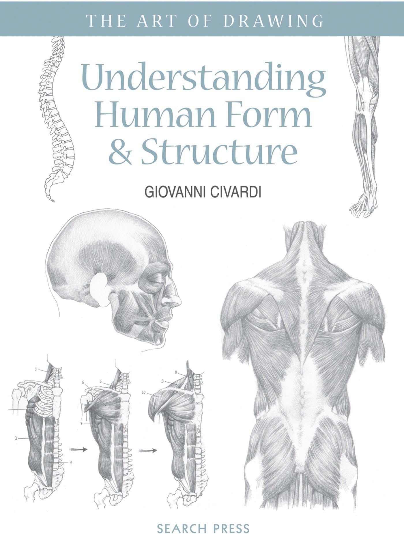 Art of Drawing: Understanding Human Form & Structure