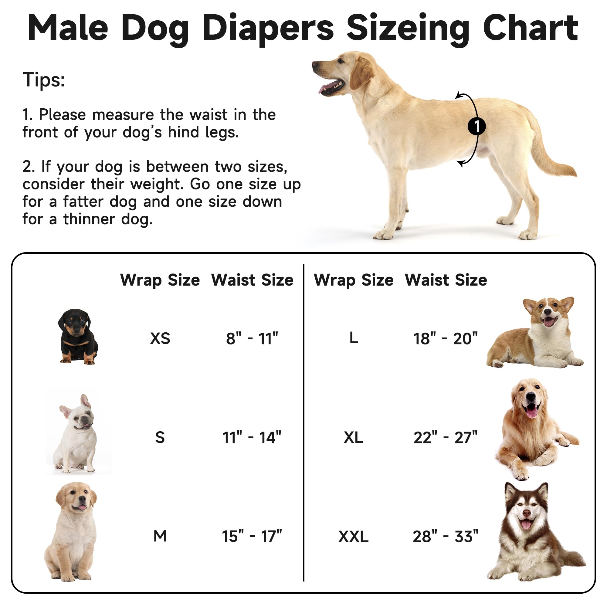 Wiederverwendbare Premium-Bauchbänder für männliche Hunde, hochabsorbierende Hundewindeln für Rüden bei Inkontinenz oder erregtem Wasserlassen und Training, Grau, Größe L, 5 Stück